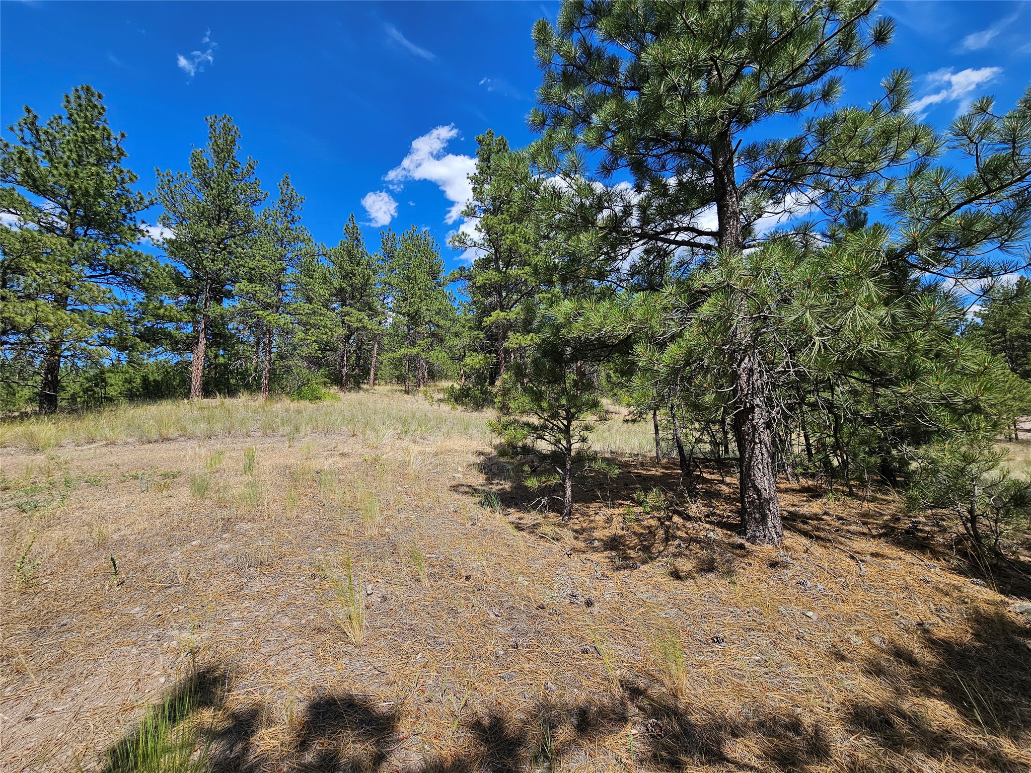 Nhn Upper Sawmill Creek Road Property Photo 8
