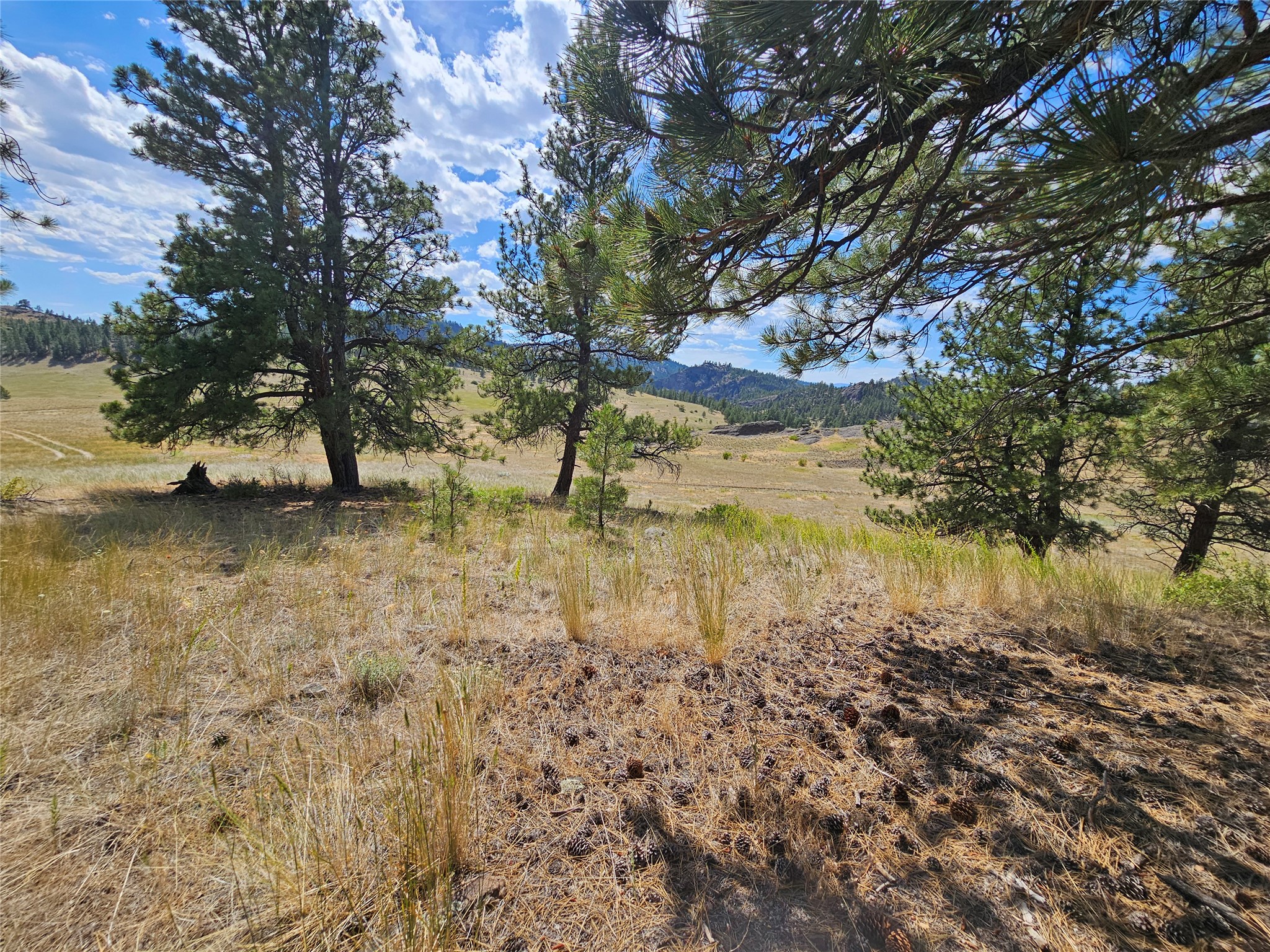 Nhn Upper Sawmill Creek Road Property Photo 10