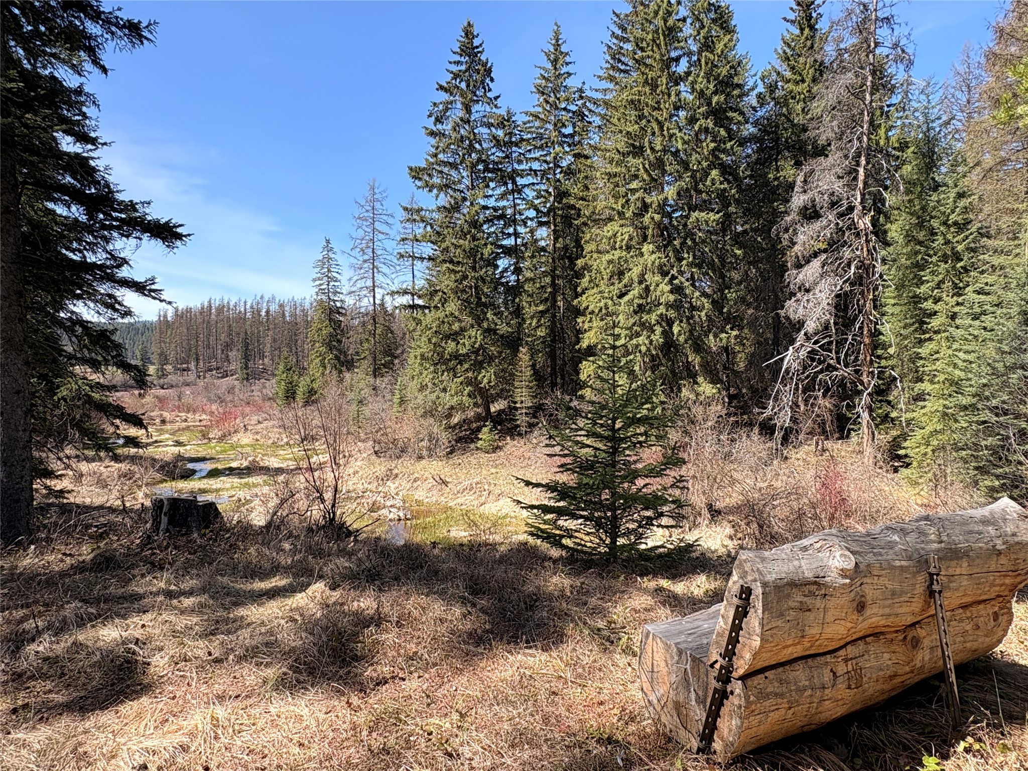 4891 & 4875 Us Highway 93 W Property Photo 10