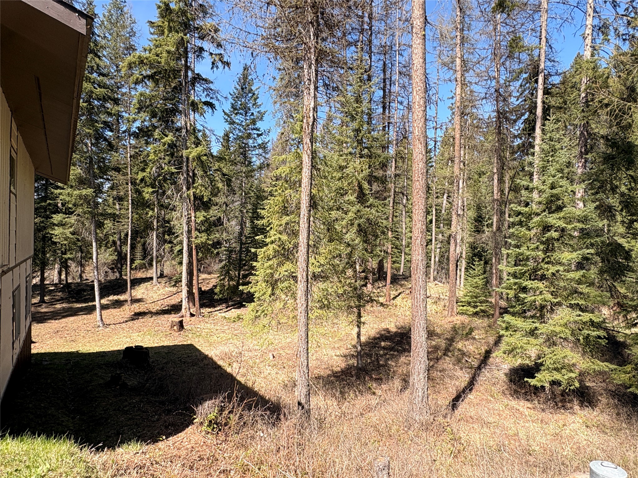 4891 & 4875 Us Highway 93 W Property Photo 14