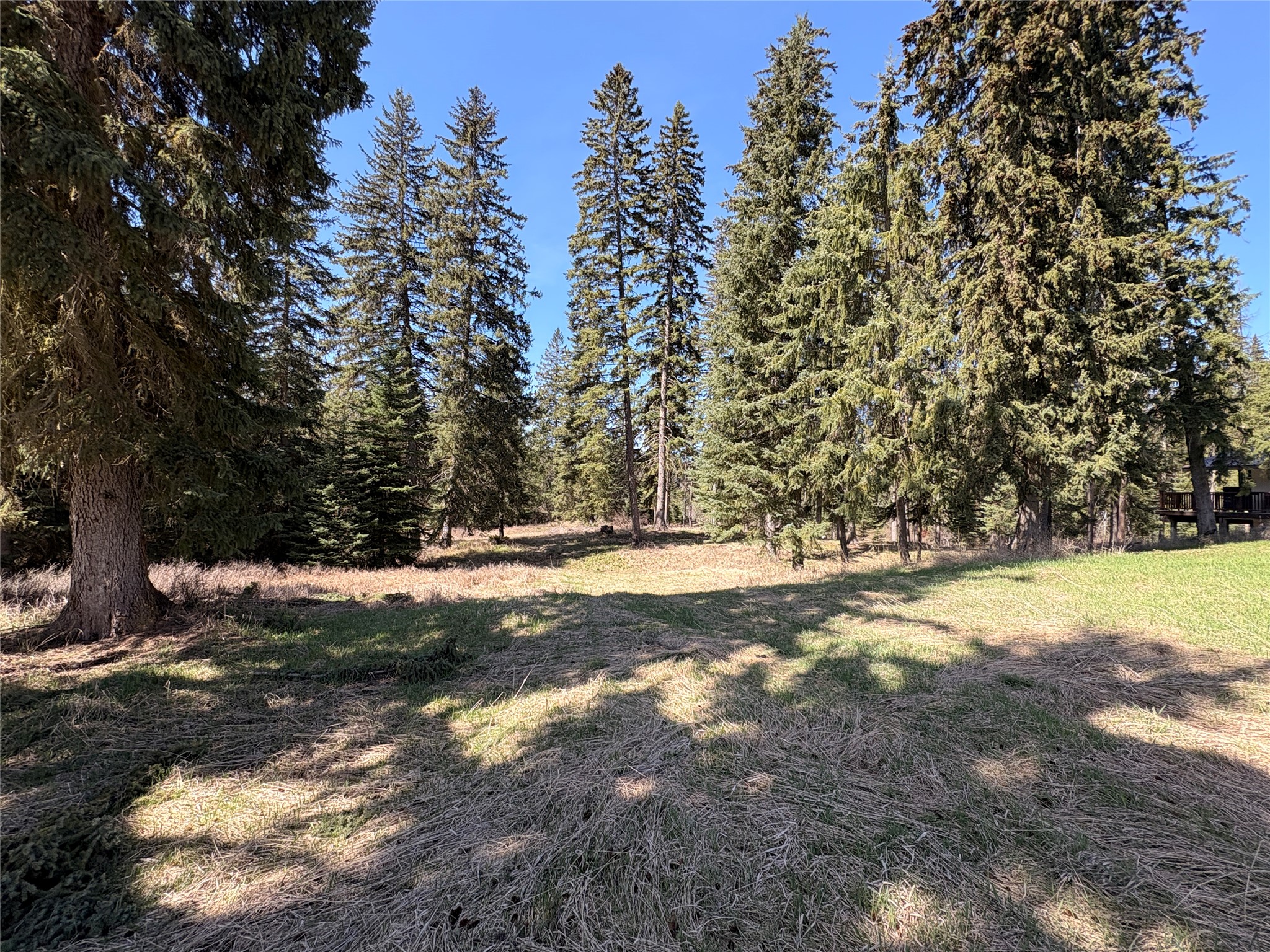 4891 & 4875 Us Highway 93 W Property Photo 18