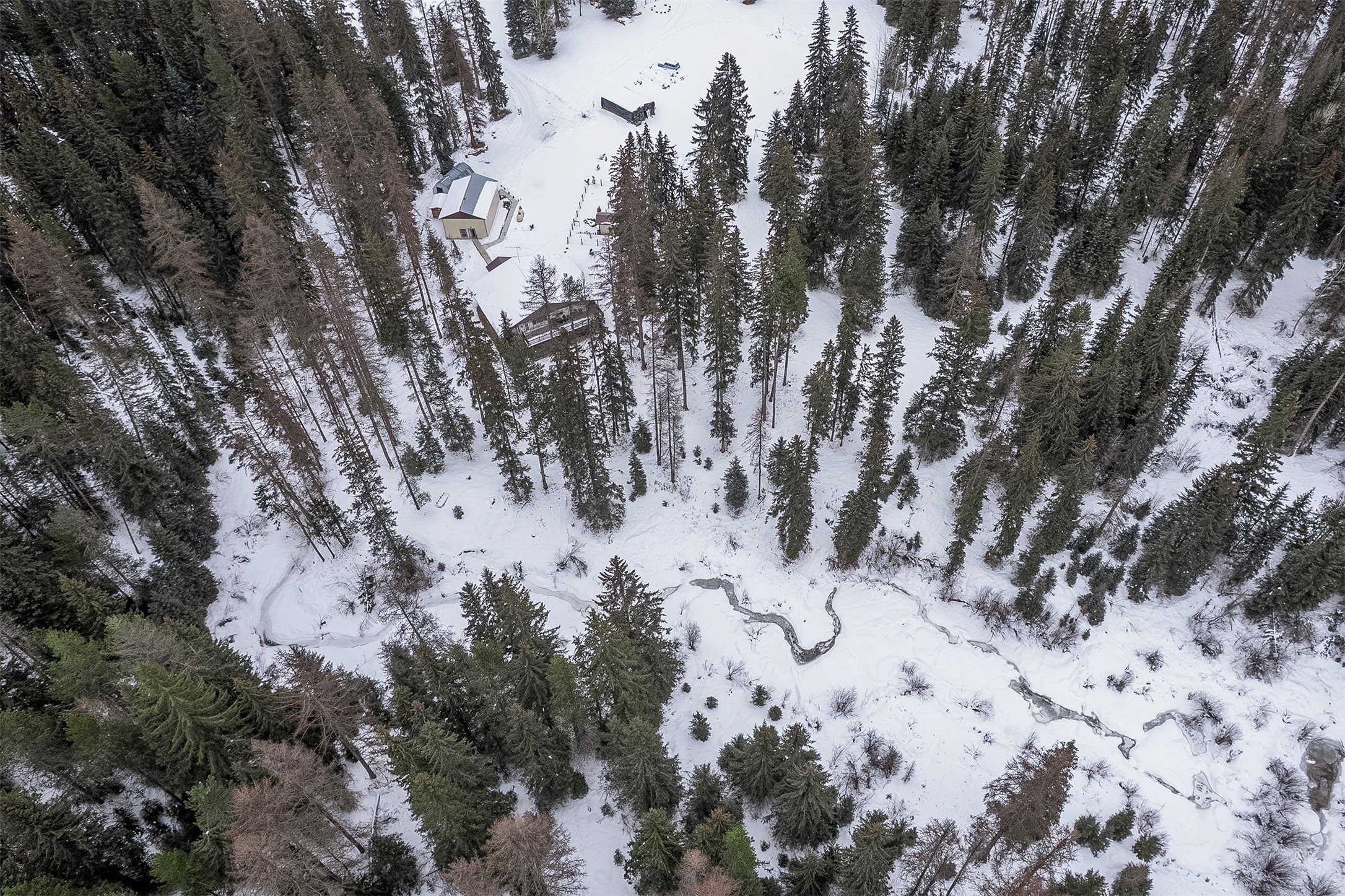 4891 & 4875 Us Highway 93 W Property Photo 66