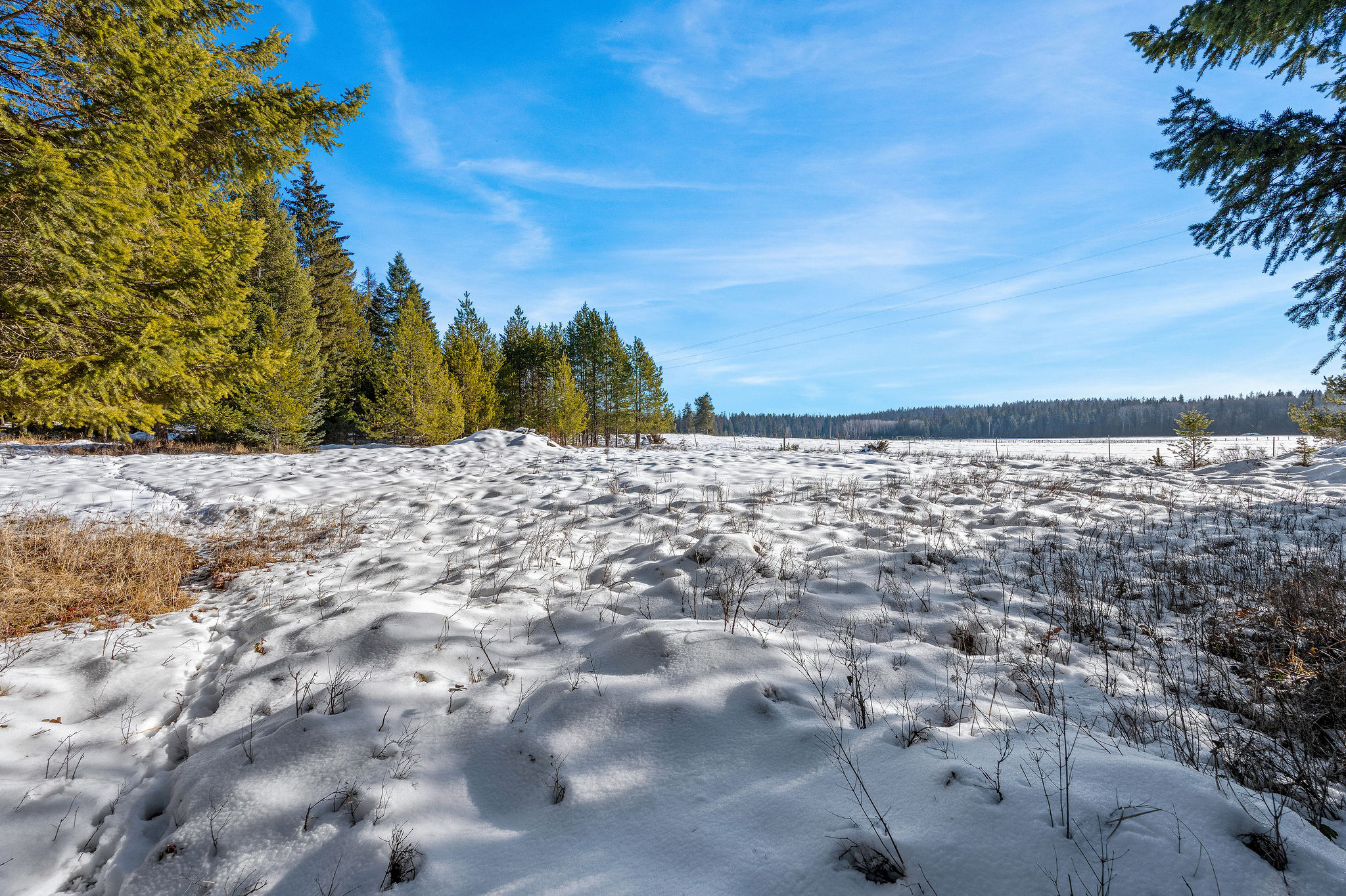 1673 Whitefish Hills Drive Property Photo 13
