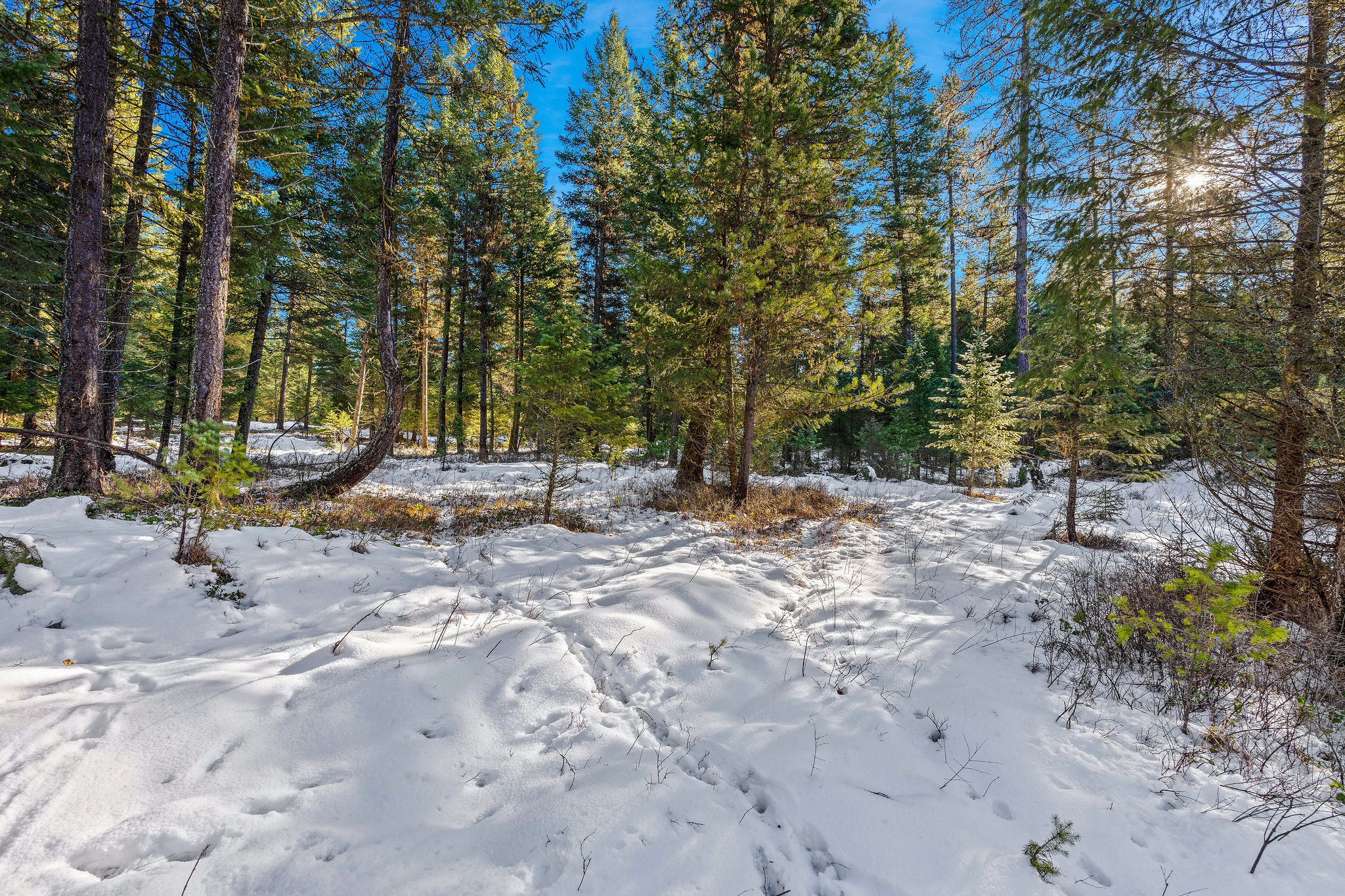 1673 Whitefish Hills Drive Property Photo 14