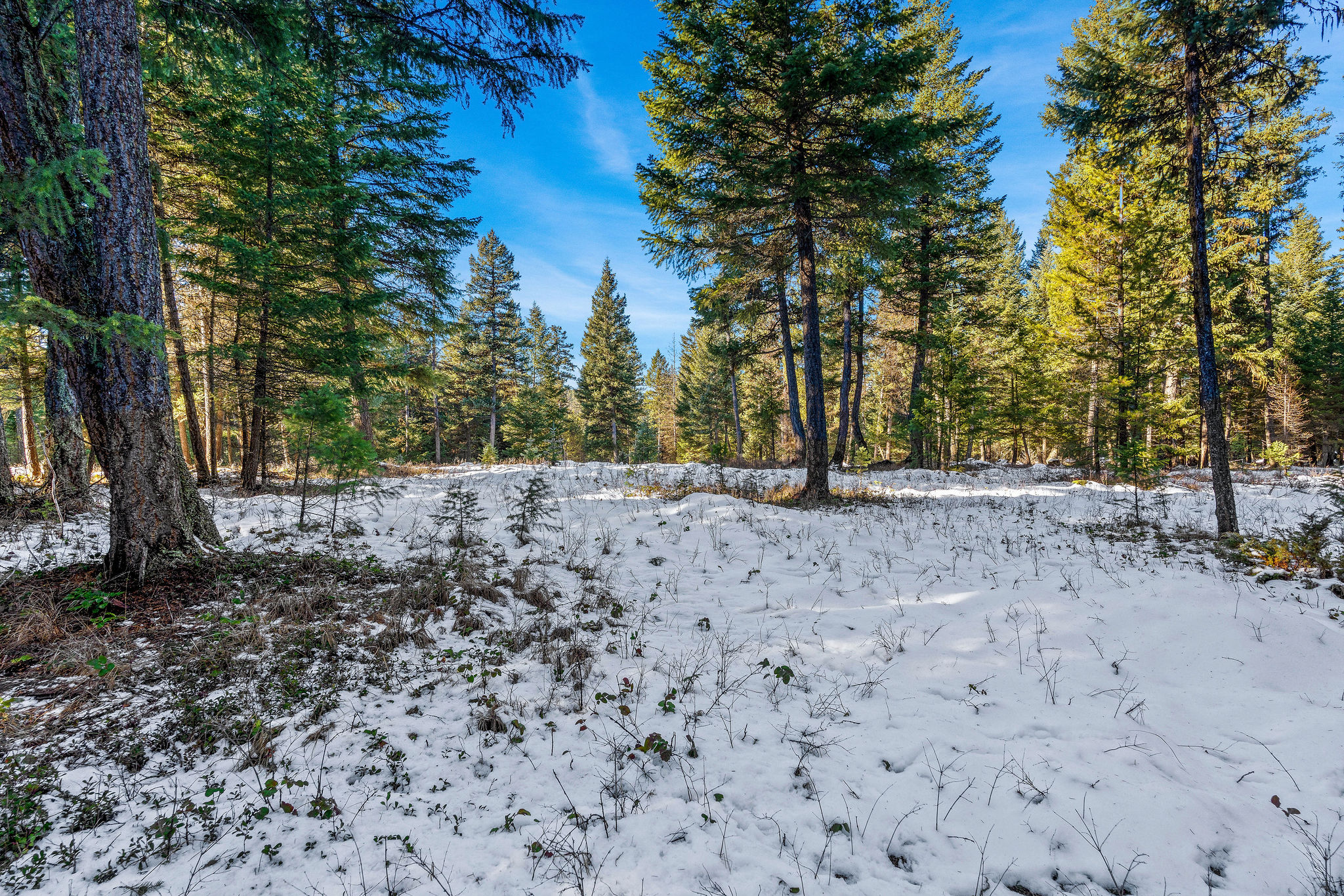 1673 Whitefish Hills Drive Property Photo 16