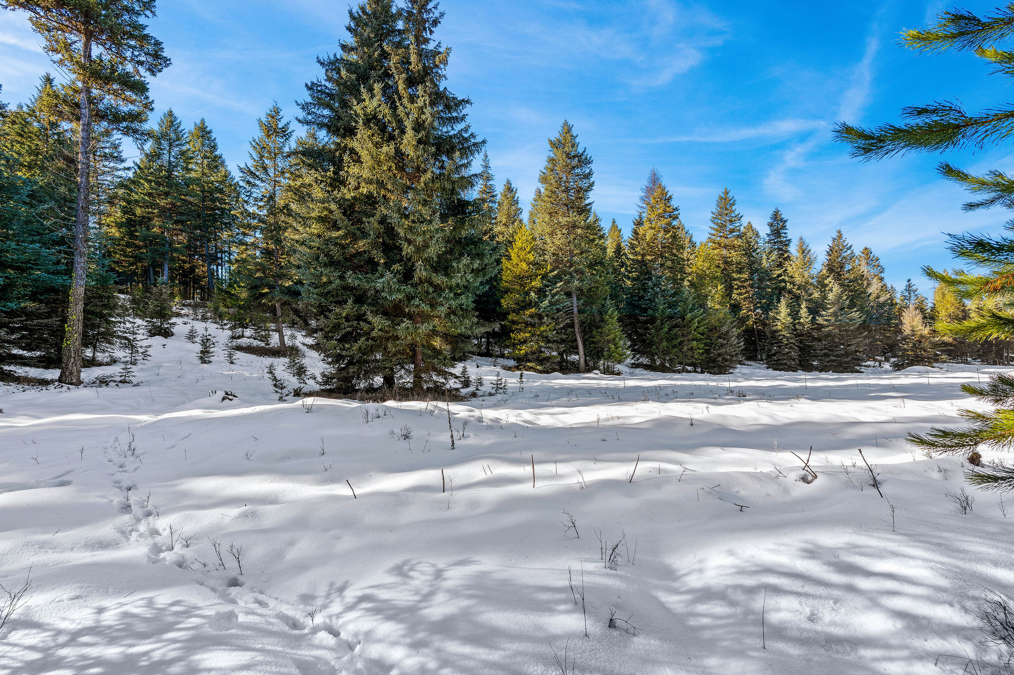 1673 Whitefish Hills Drive Property Photo 18