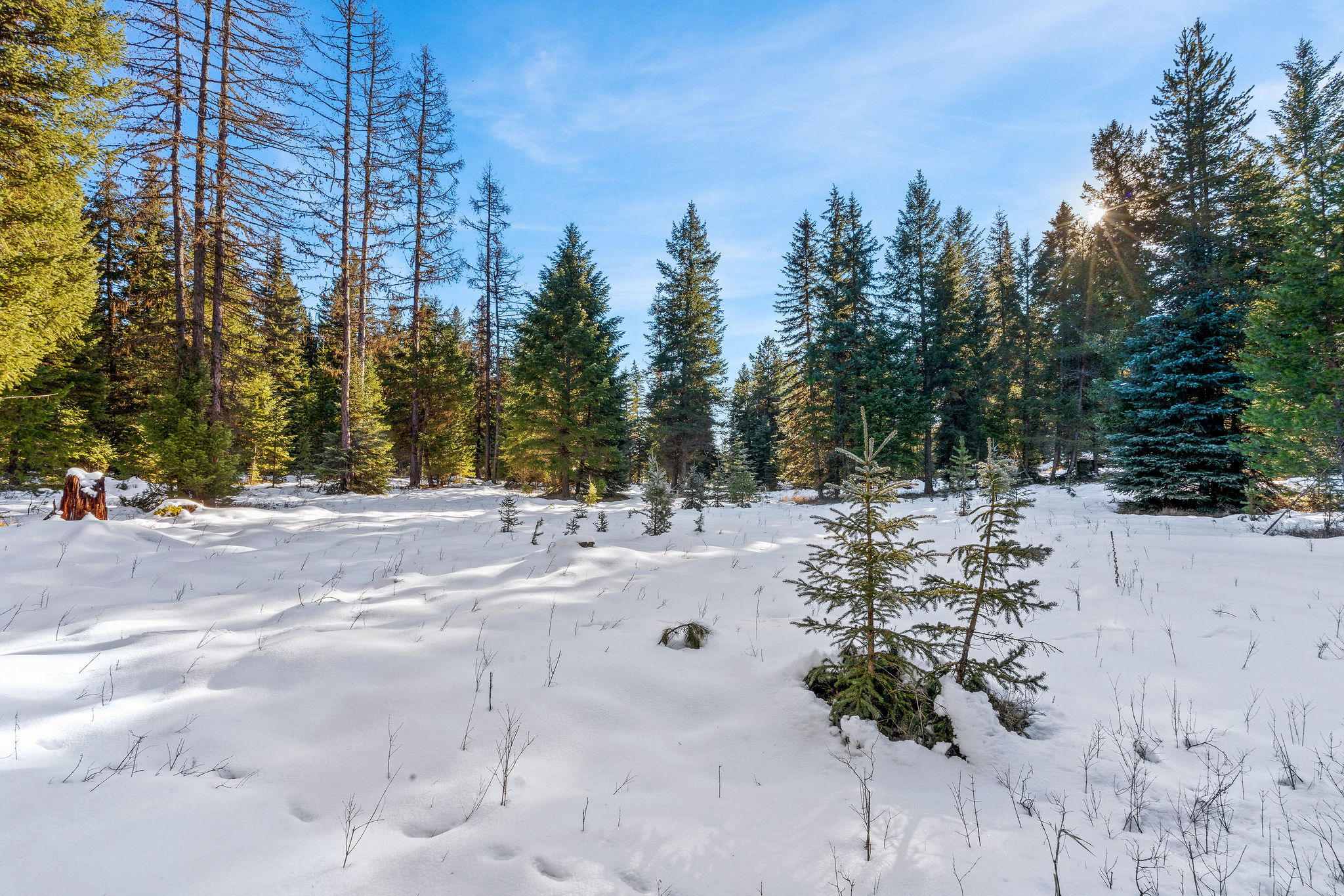 1673 Whitefish Hills Drive Property Photo 19