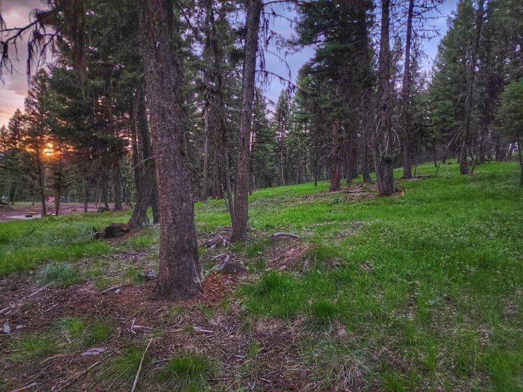 289 Seclusion Point Property Photo 2