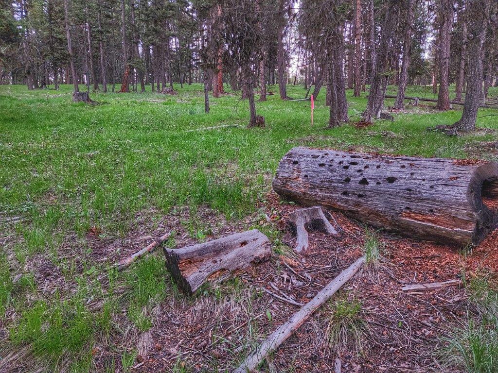 289 Seclusion Point Property Photo 3