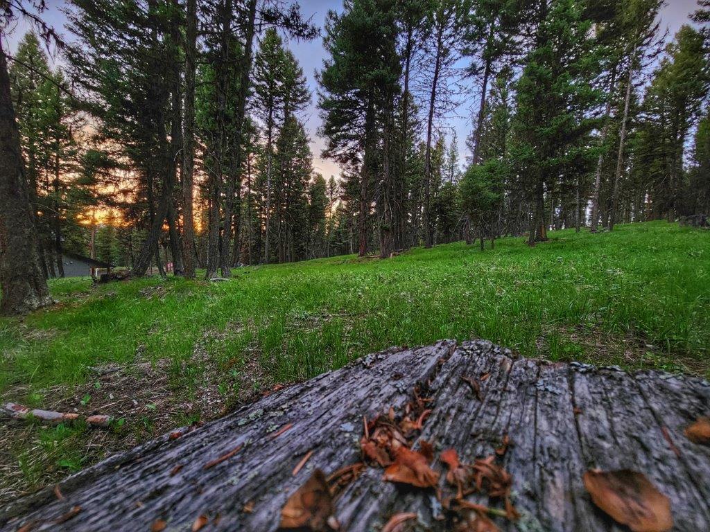 289 Seclusion Point Property Photo 4