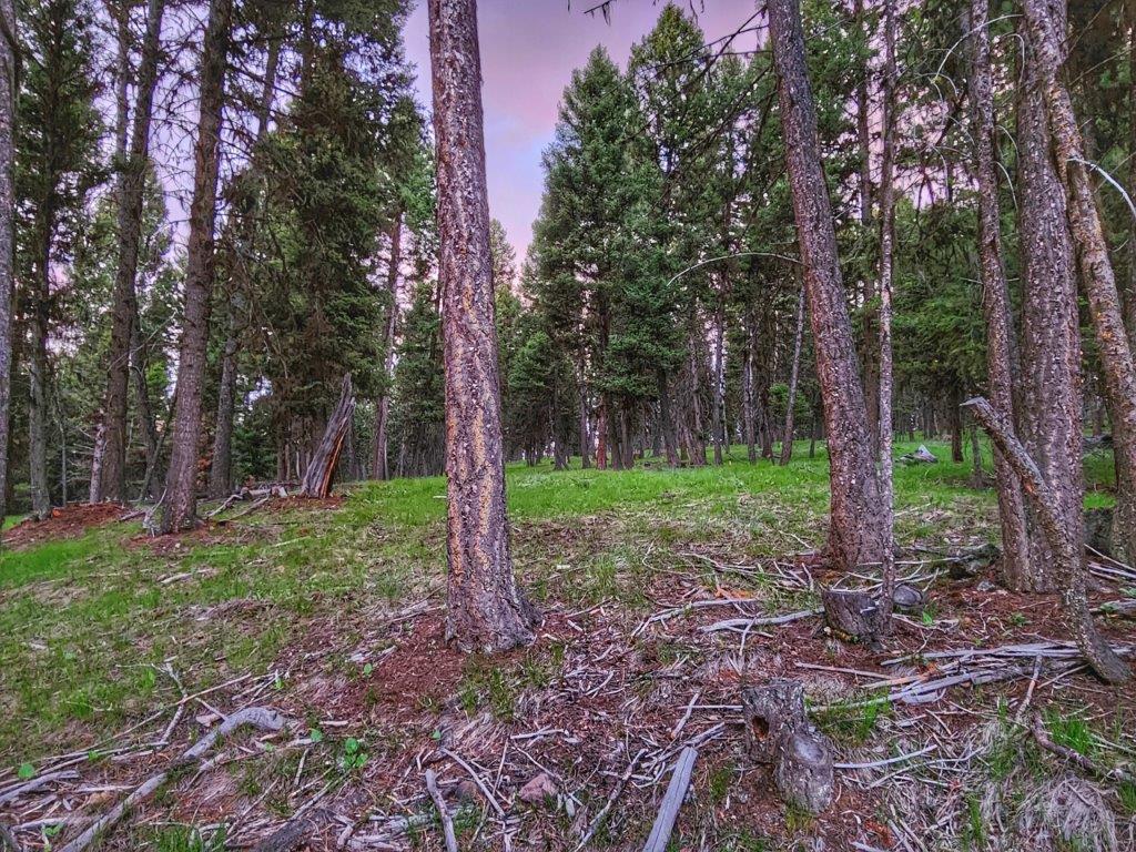 289 Seclusion Point Property Photo 6