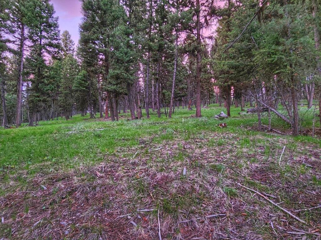 289 Seclusion Point Property Photo 7