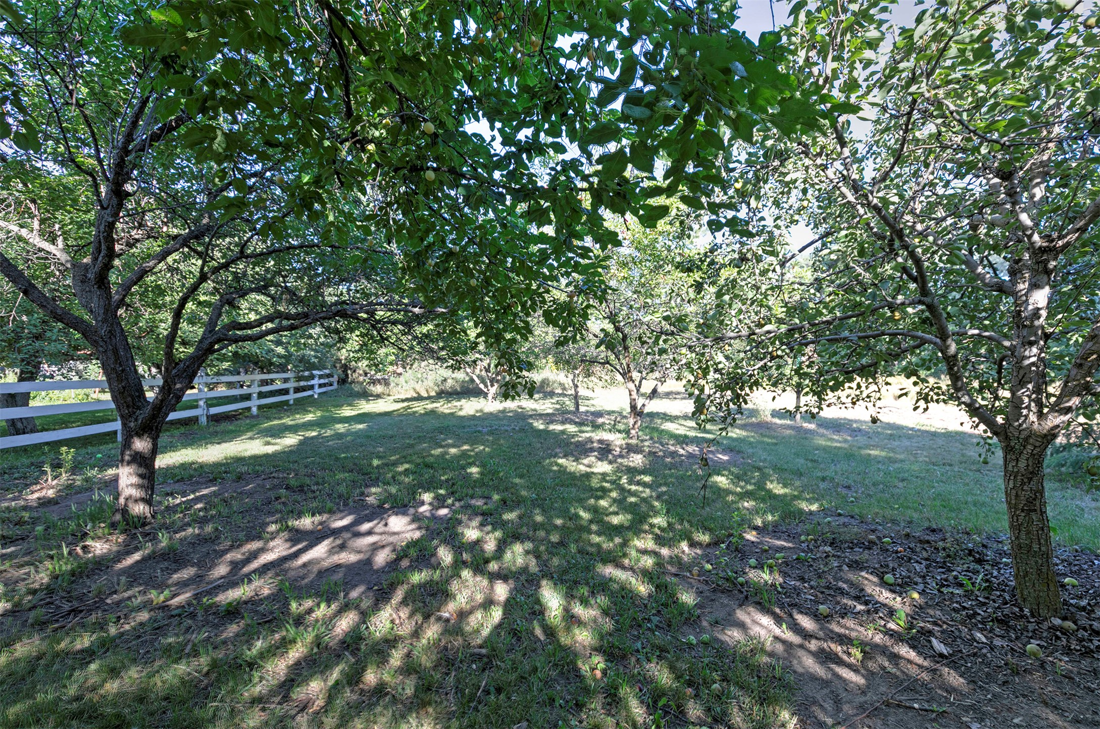 2300 Flynn Lane Property Photo 67