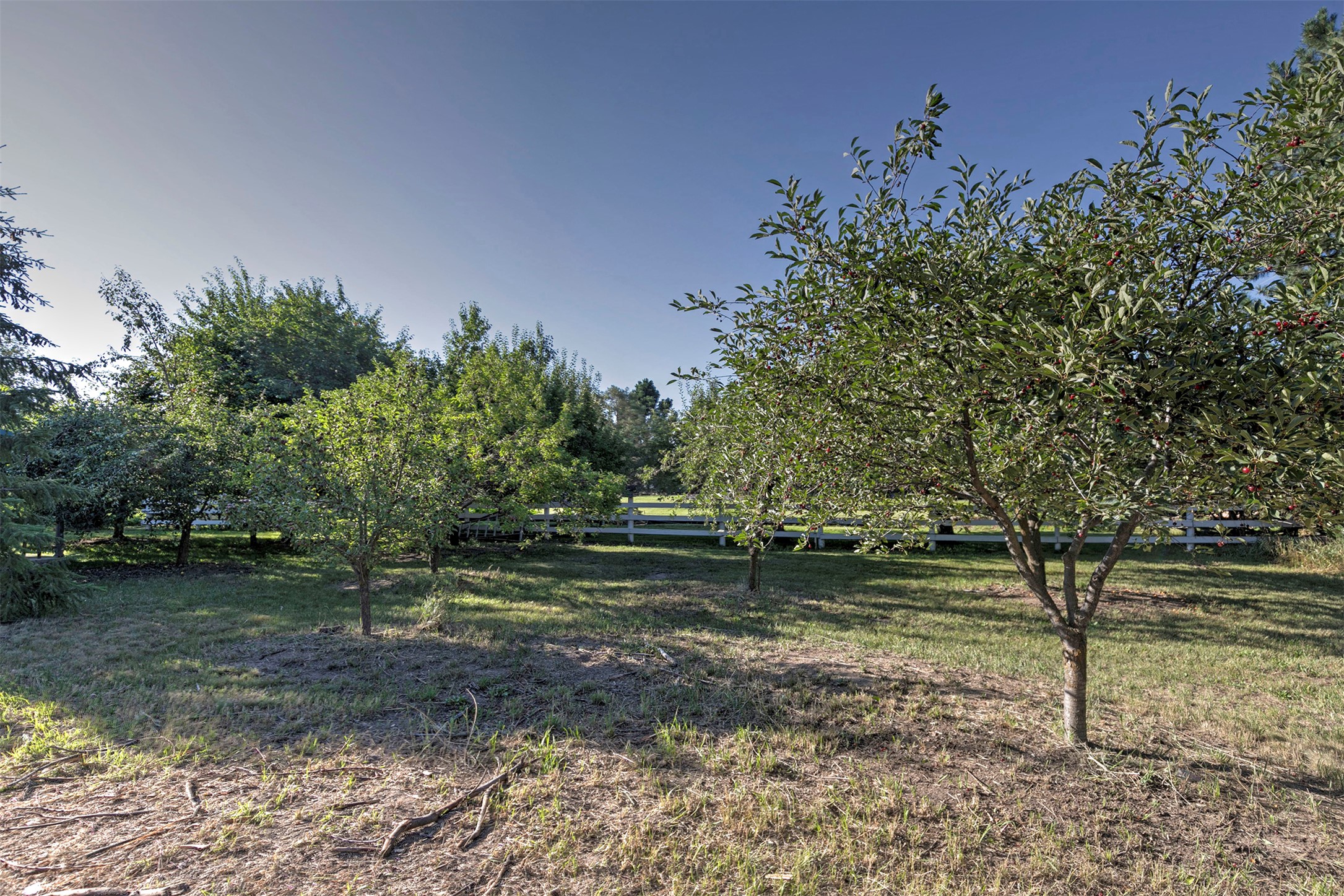 2300 Flynn Lane Property Photo 79