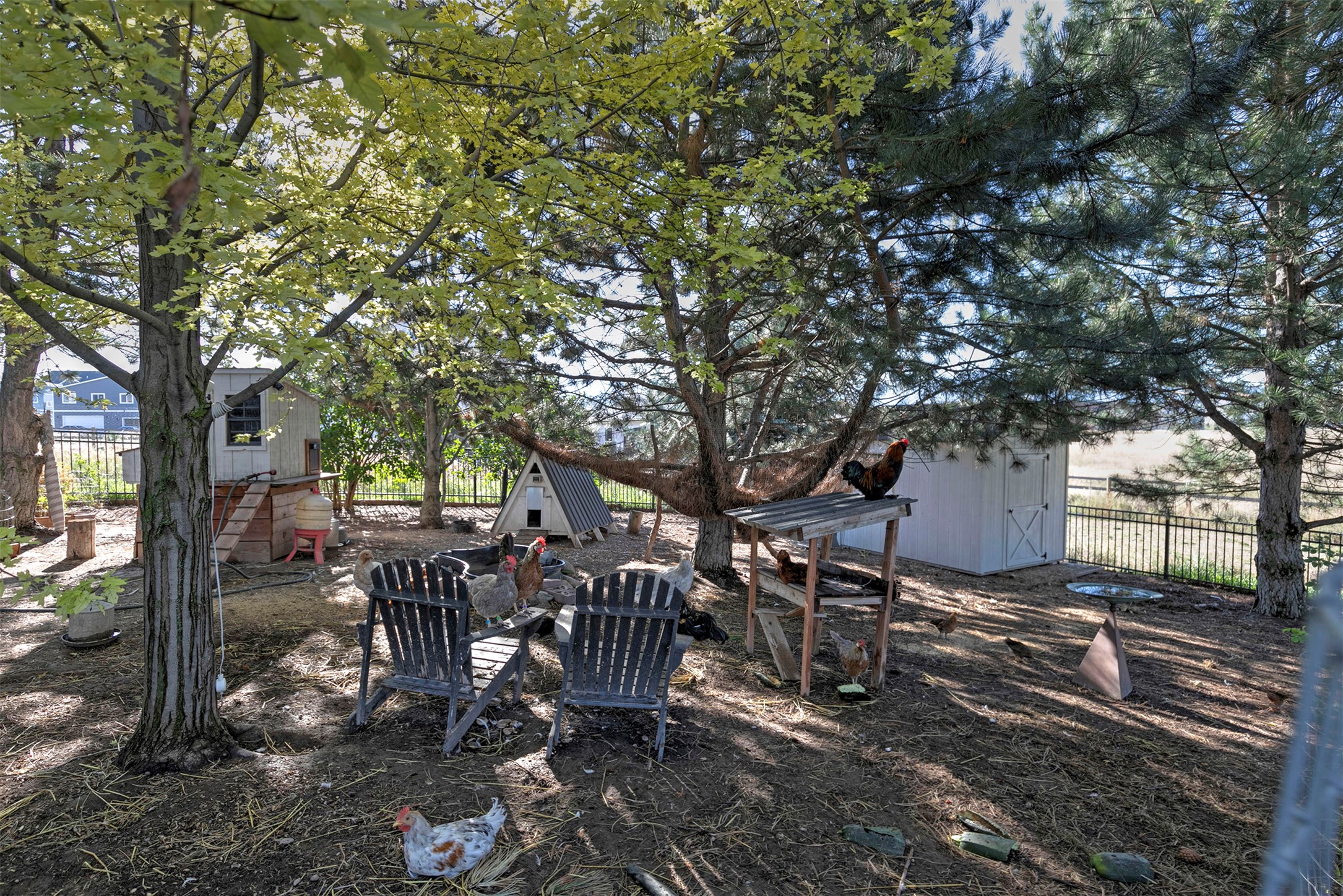 2300 Flynn Lane Property Photo 84