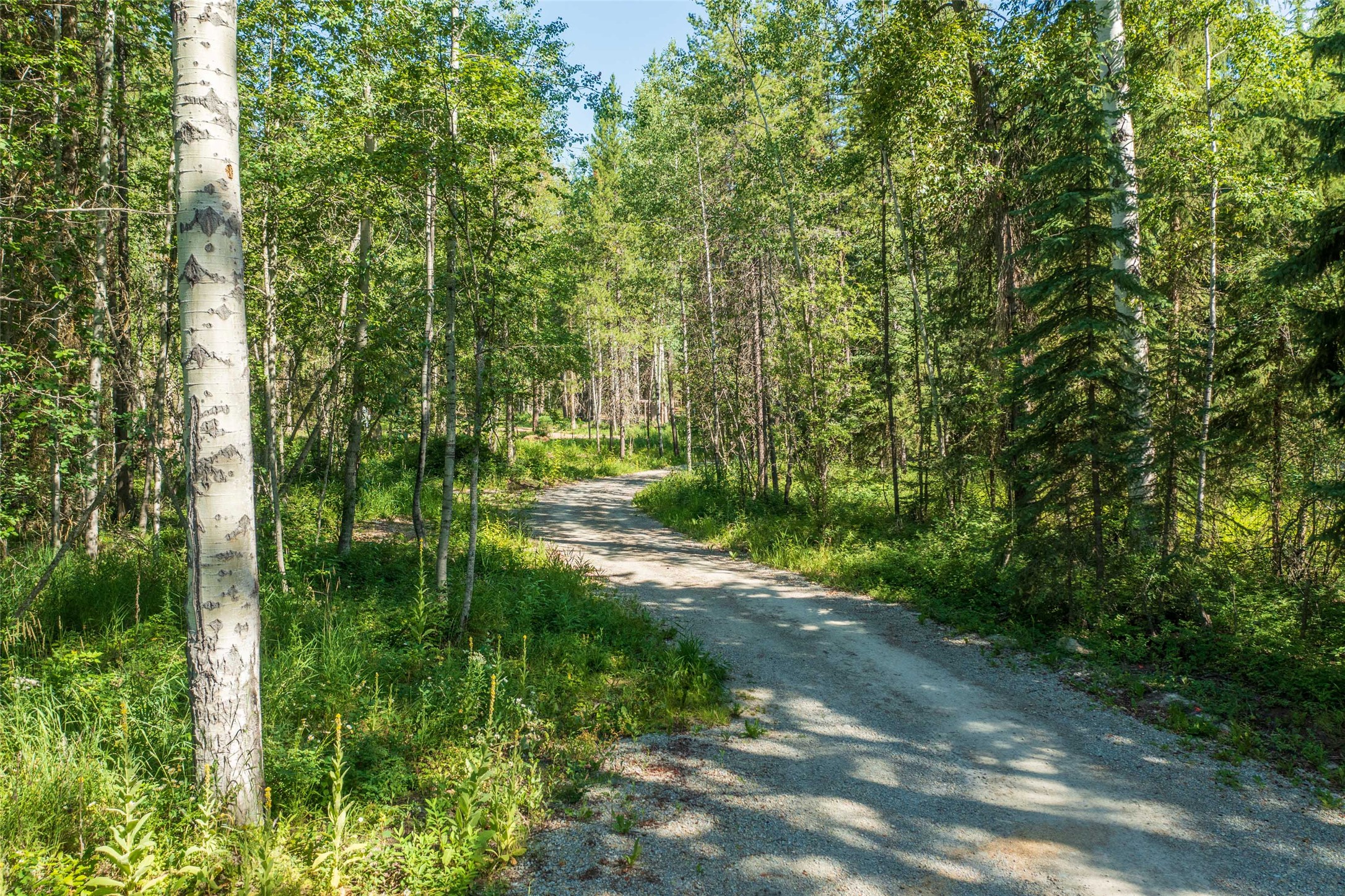 5374 Us Hwy 93 W Property Photo 1
