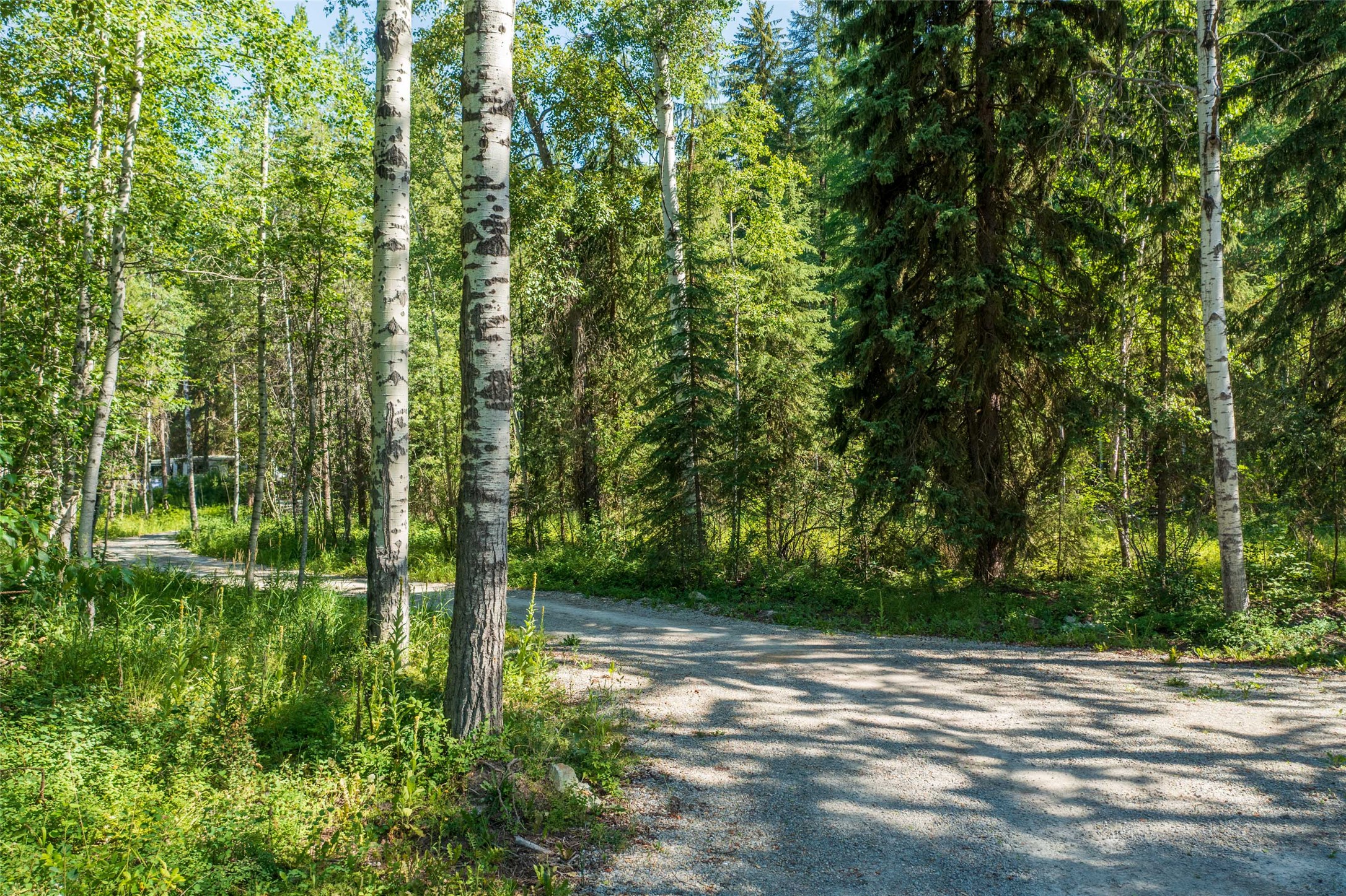 5374 Us Hwy 93 W Property Photo 5