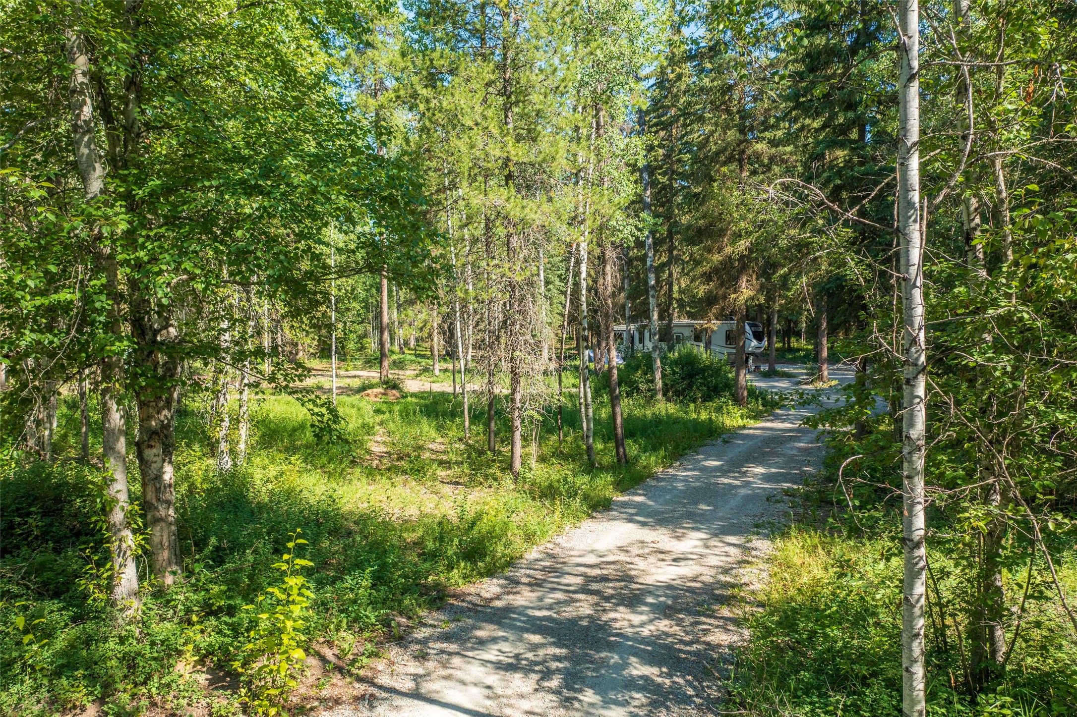 5374 Us Hwy 93 W Property Photo 6