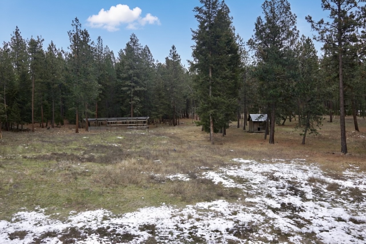 580 Upper Lynch Creek Road Property Photo 6