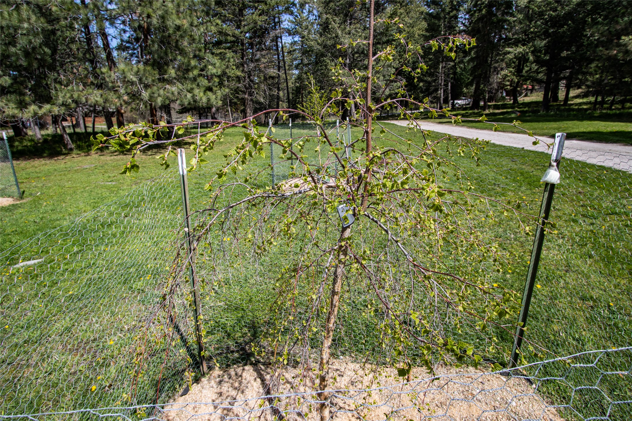 33011 Snyder Hill Lane Property Photo 77