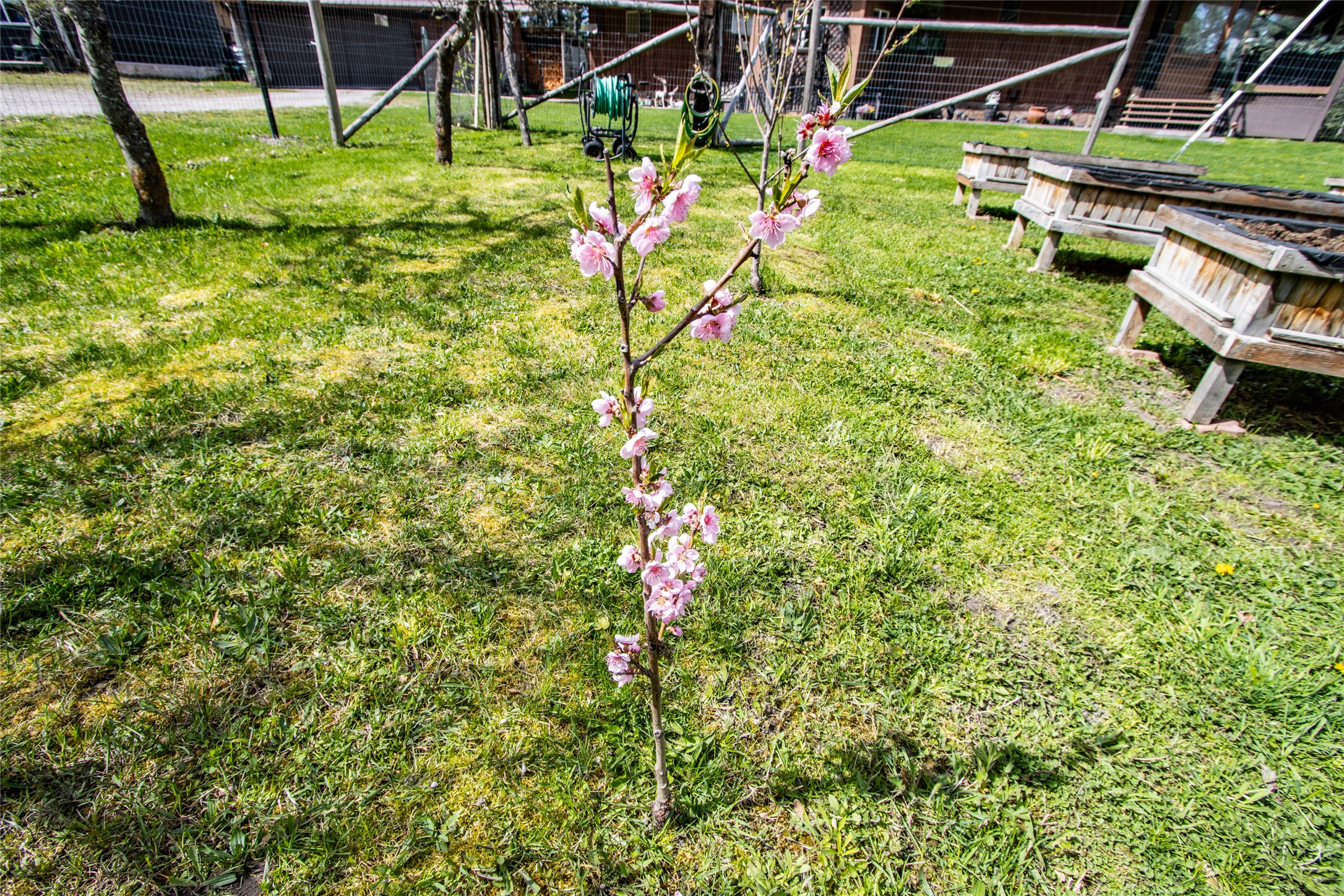 33011 Snyder Hill Lane Property Photo 85