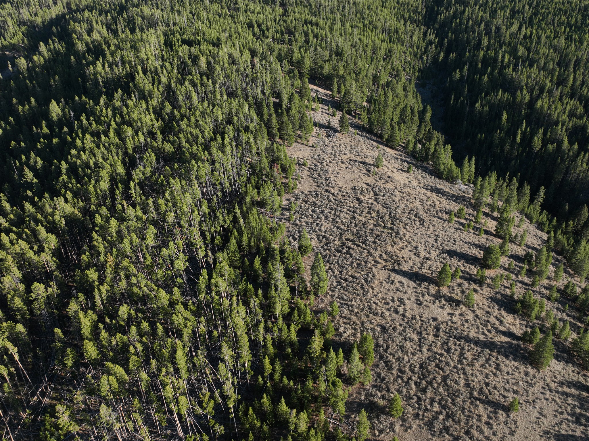 Lot 2 Ruby Mine Road Property Photo 18