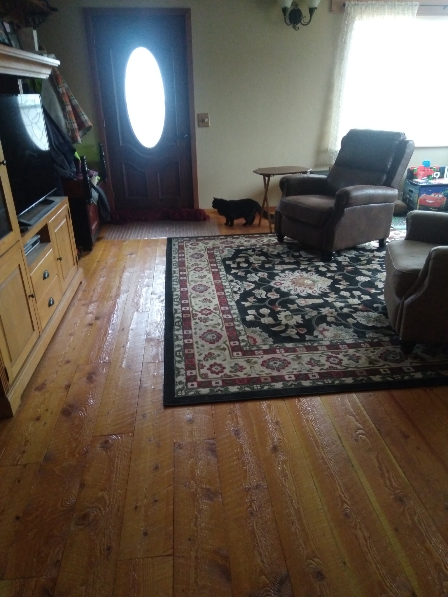 36344 Kerr Dam Road Property Photo 6