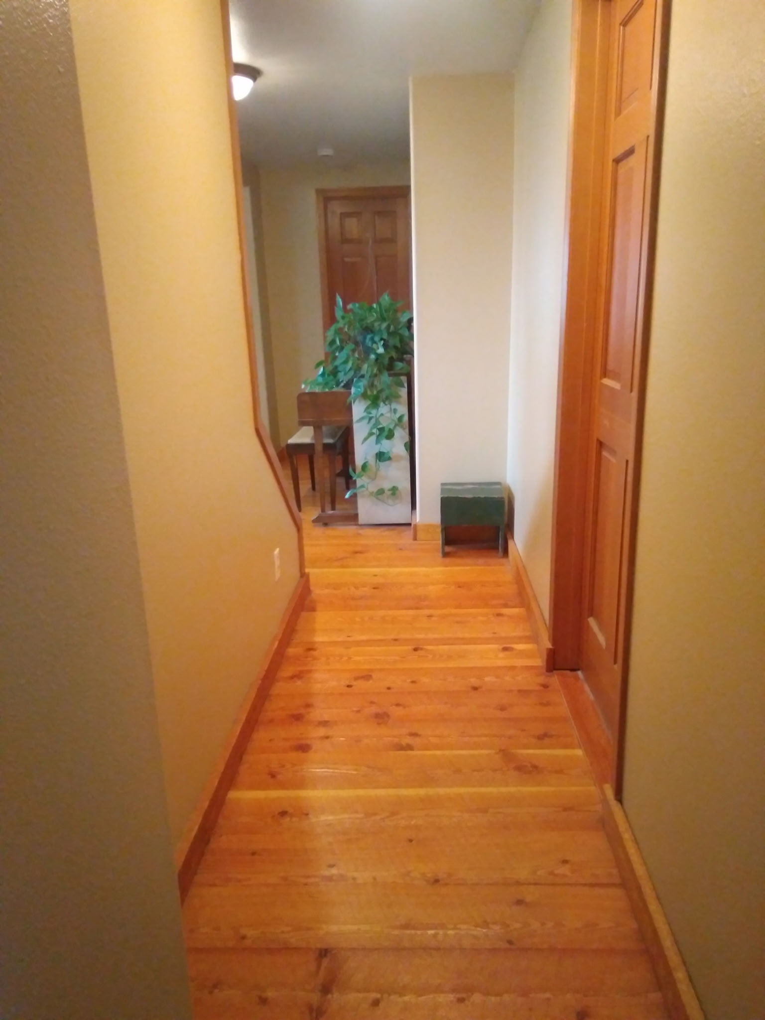 36344 Kerr Dam Road Property Photo 12