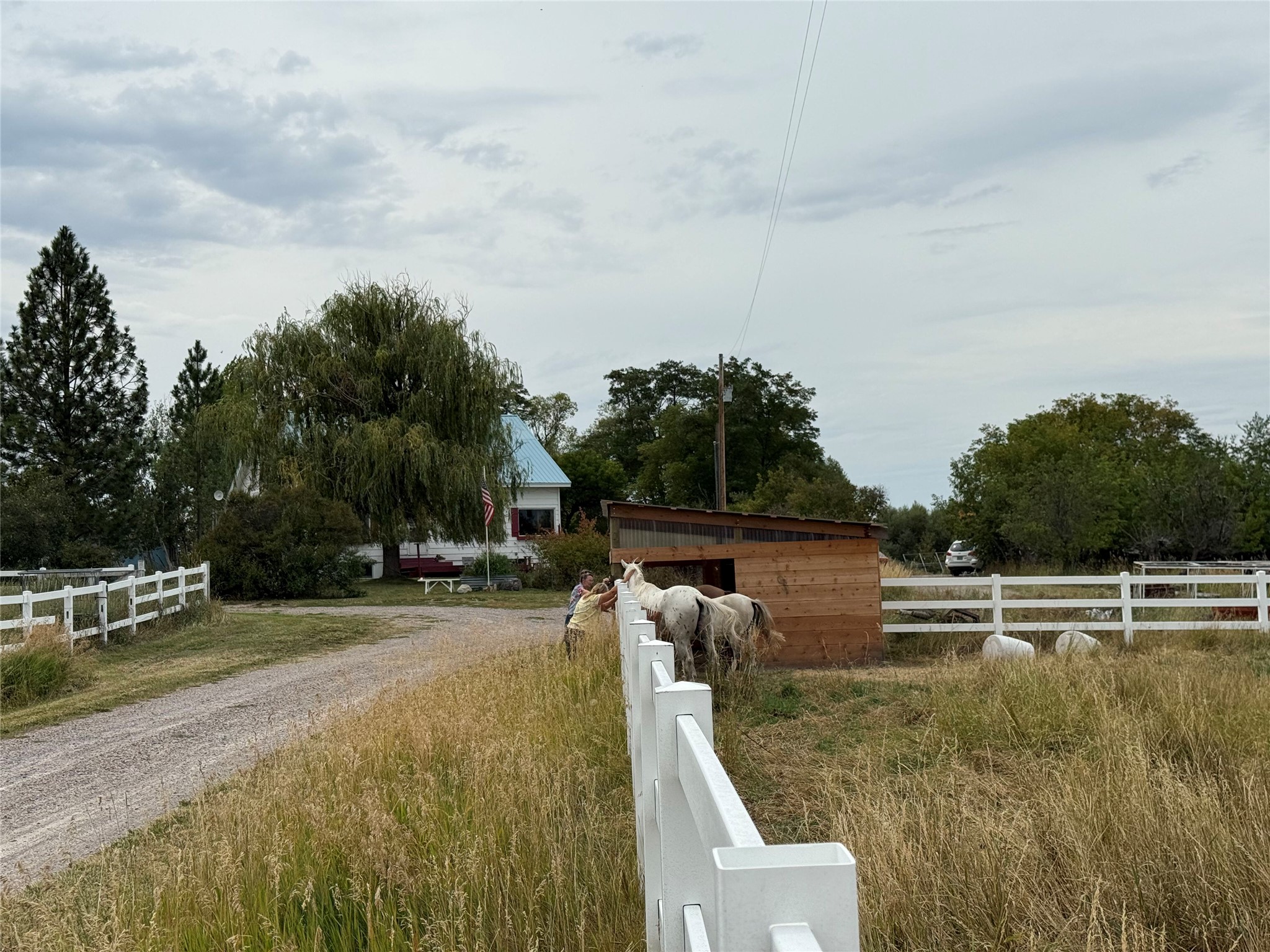 36344 Kerr Dam Road Property Photo 30
