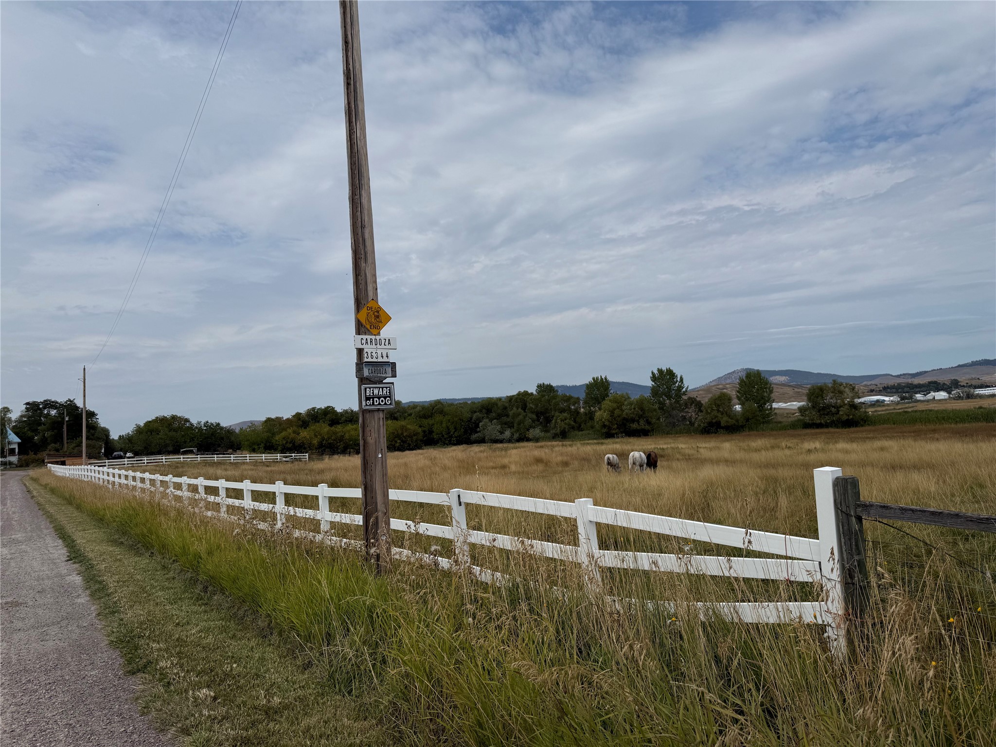 36344 Kerr Dam Road Property Photo 31