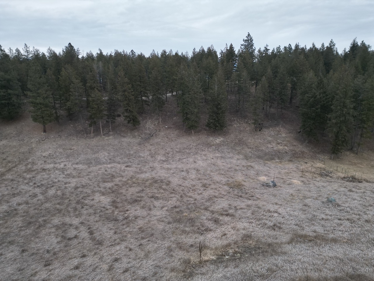 Nhn Border Lane Property Photo 16