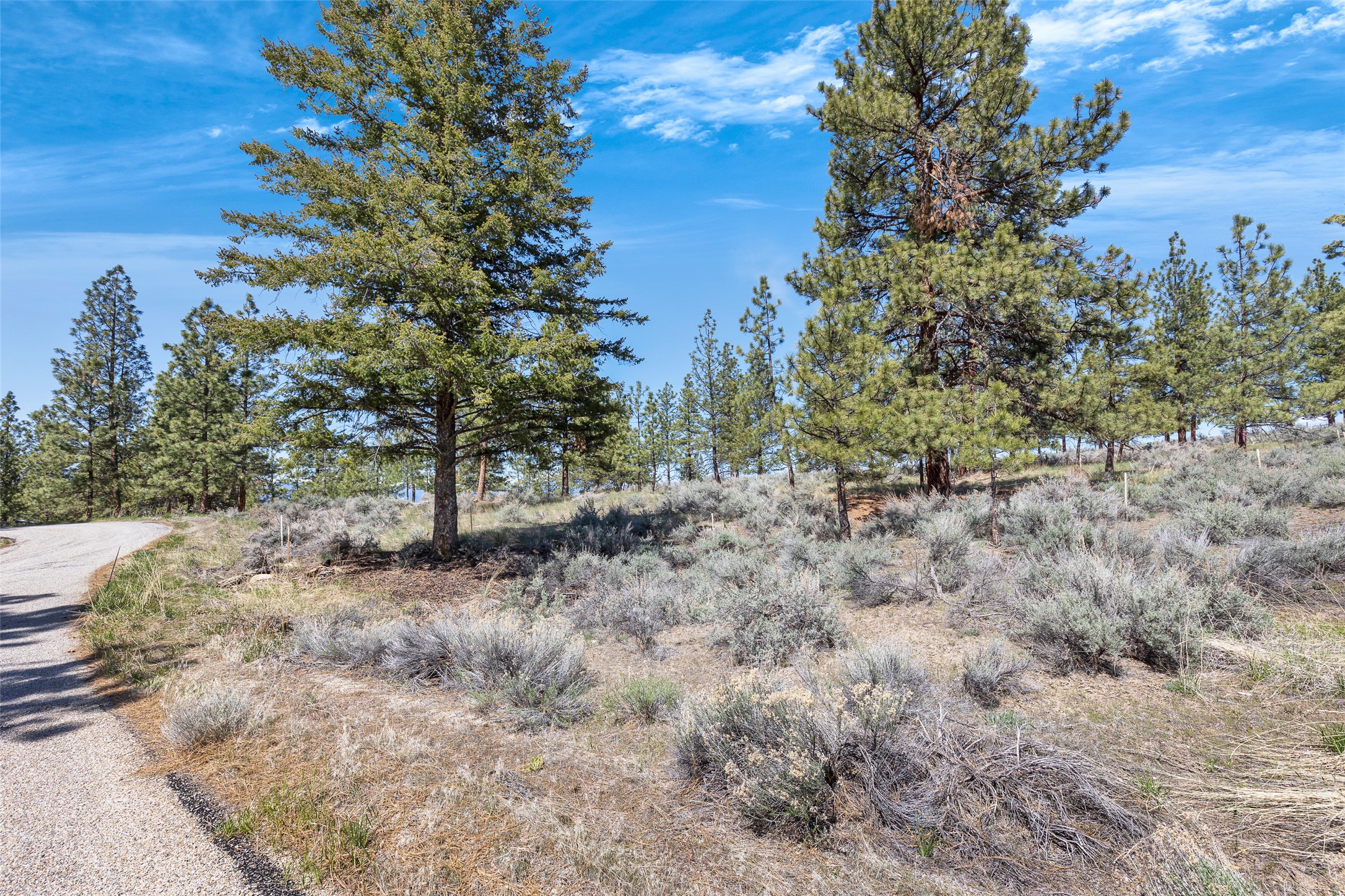 83 Mascot Trail Property Photo 4