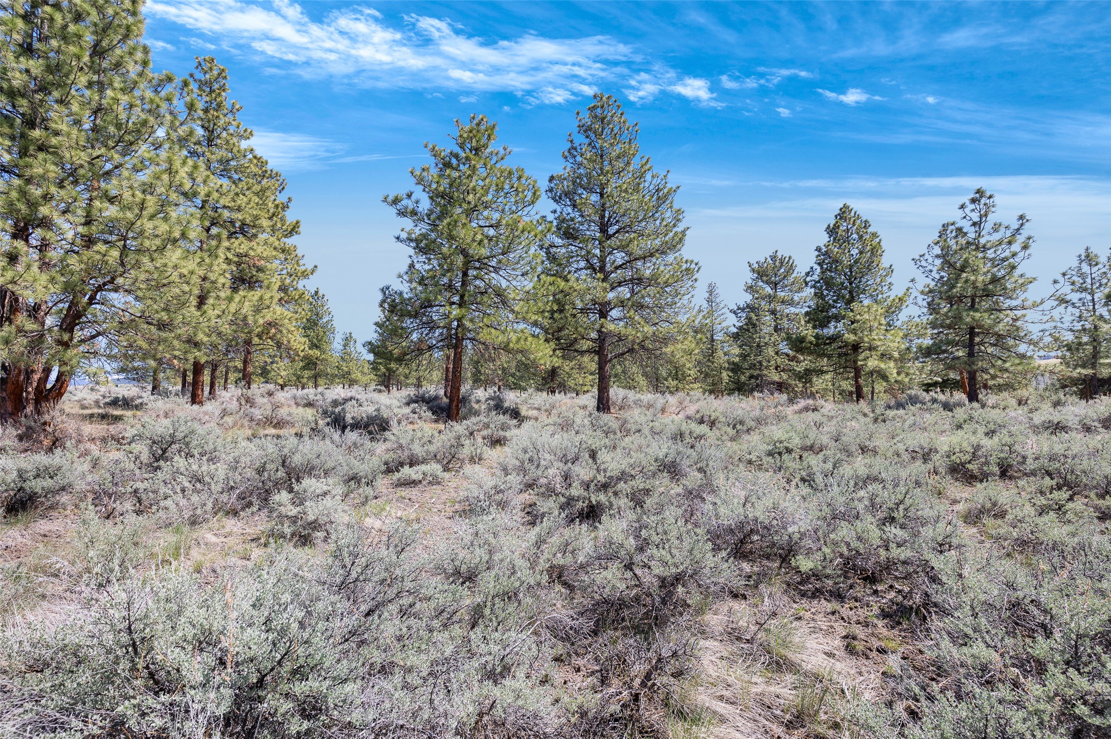 83 Mascot Trail Property Photo 6