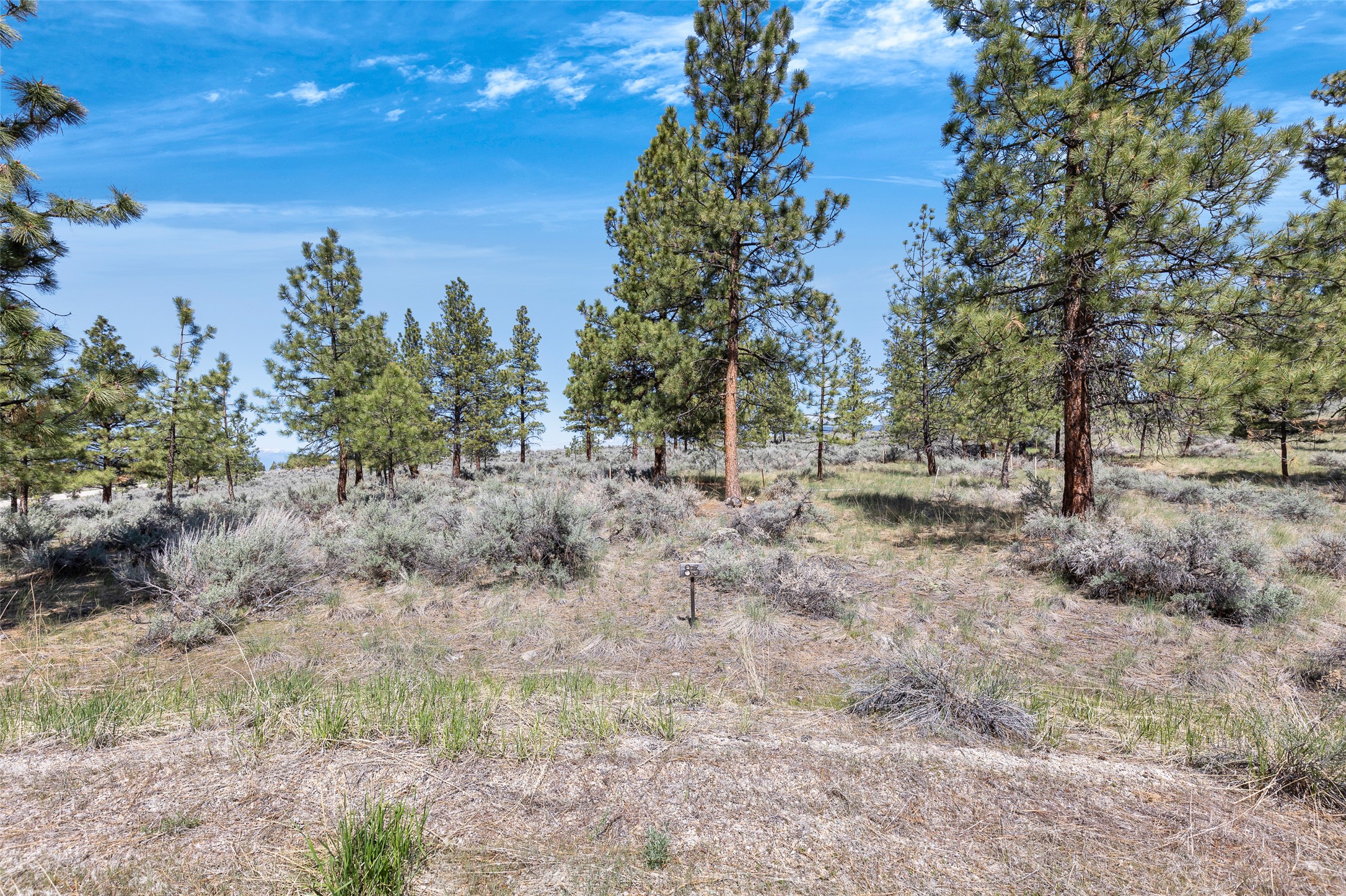 83 Mascot Trail Property Photo 8