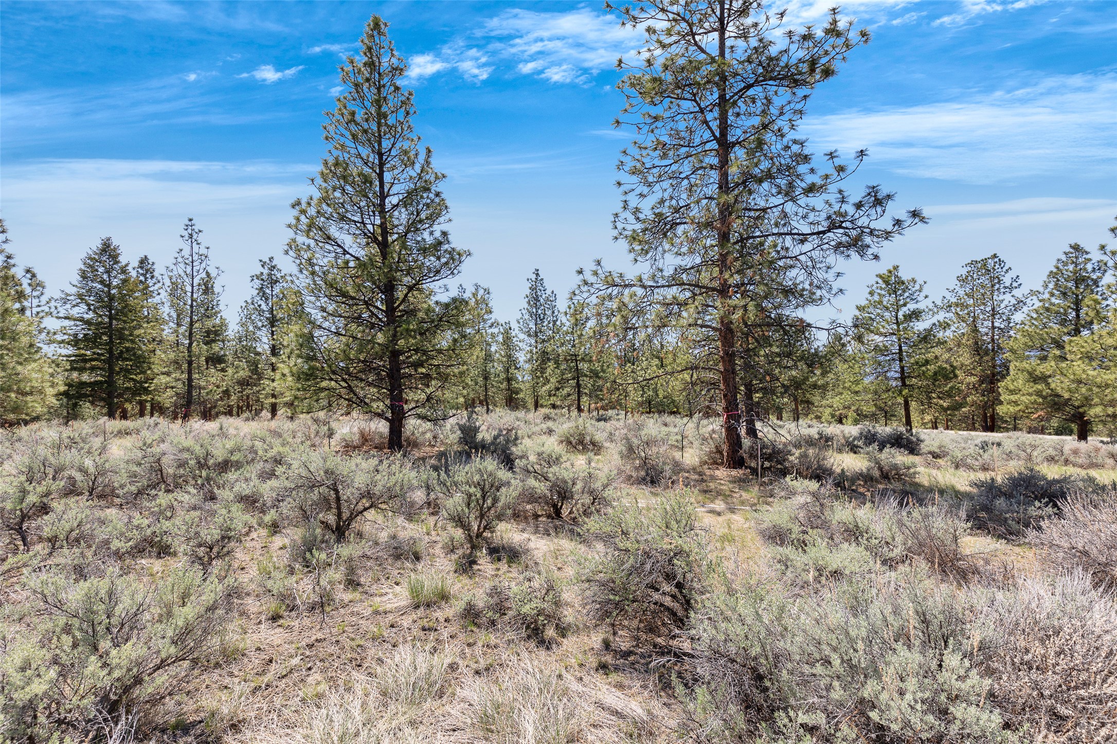 83 Mascot Trail Property Photo 15