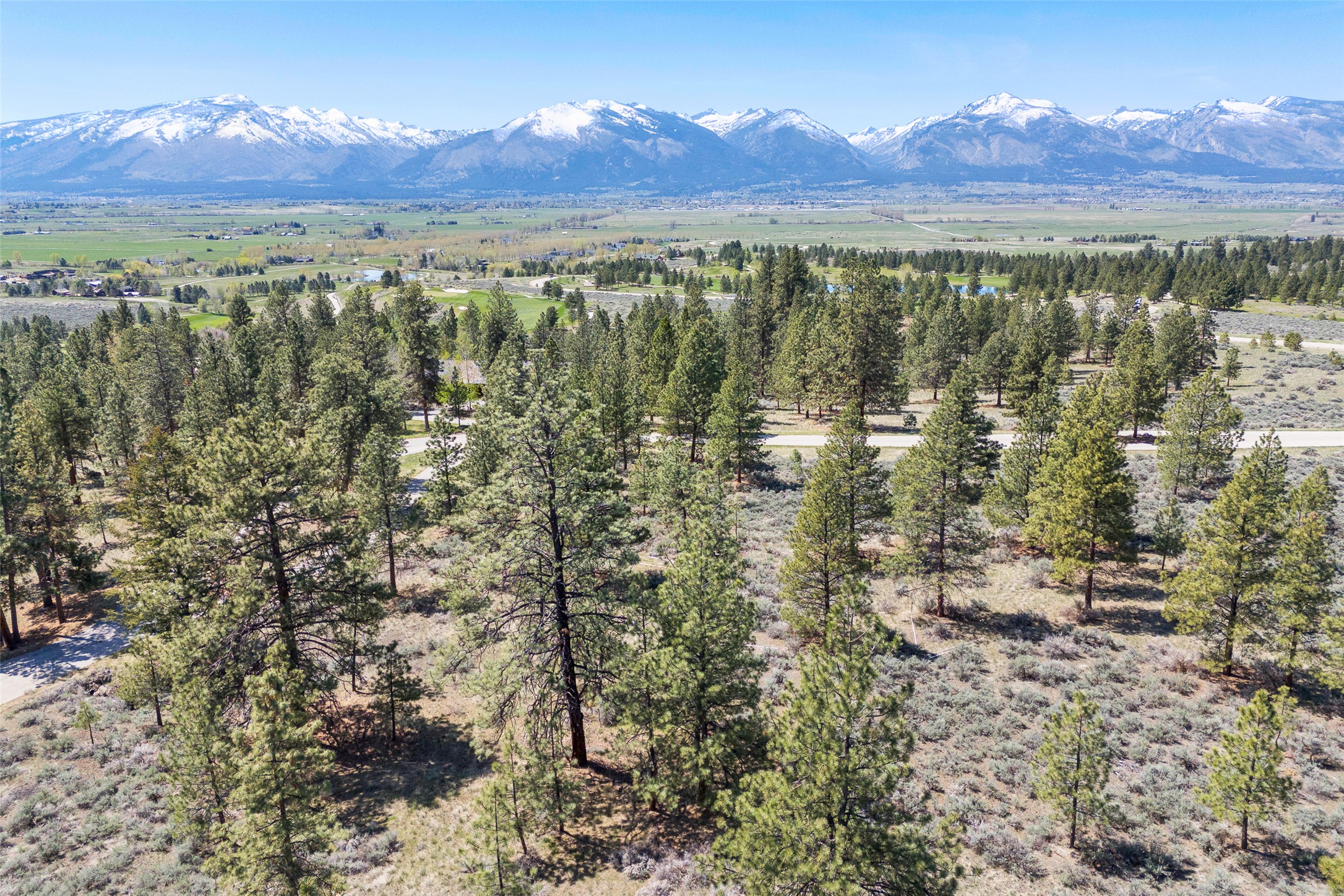 83 Mascot Trail Property Photo 18