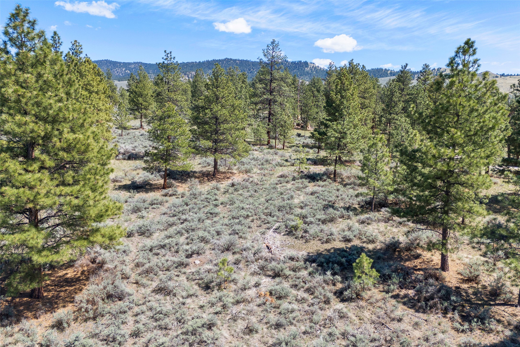 83 Mascot Trail Property Photo 25