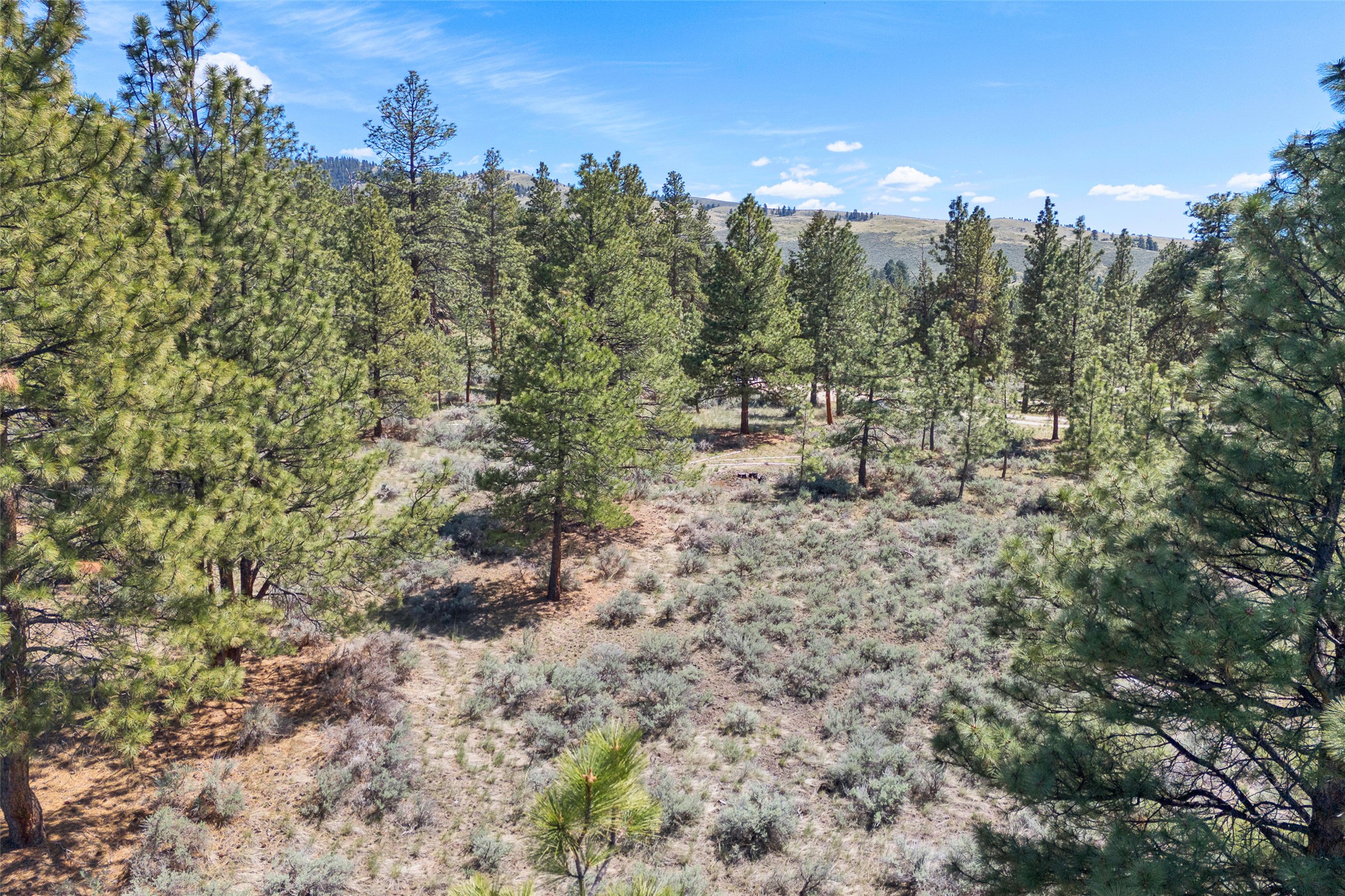 83 Mascot Trail Property Photo 26