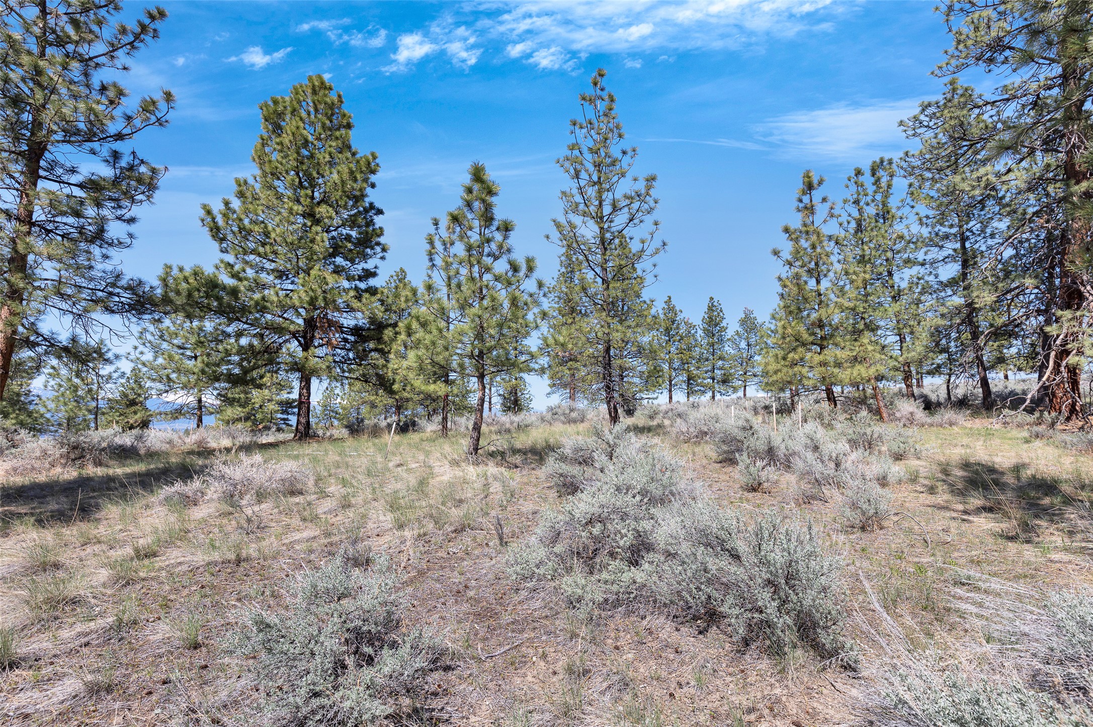 83 Mascot Trail Property Photo 28