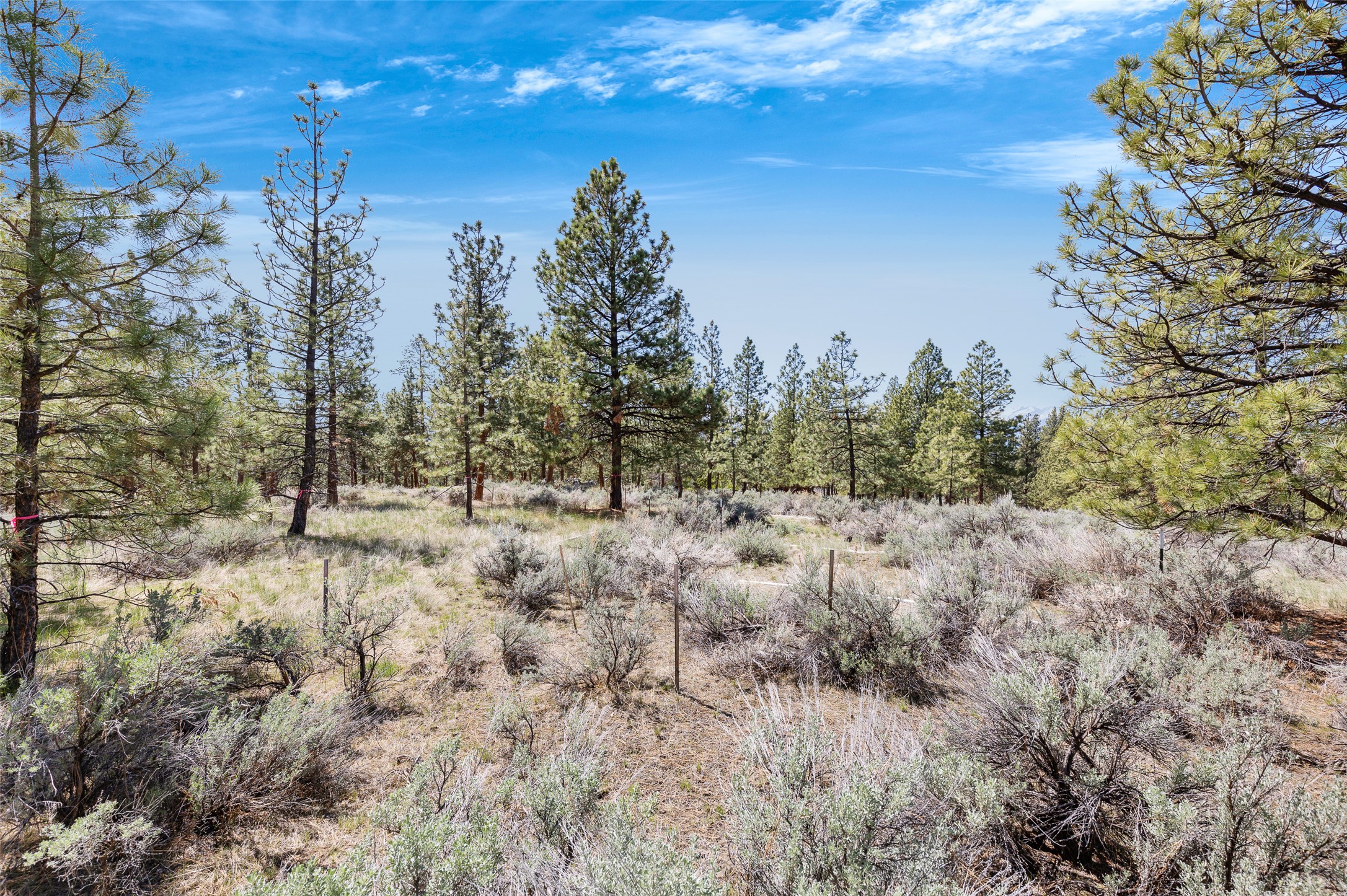 83 Mascot Trail Property Photo 29