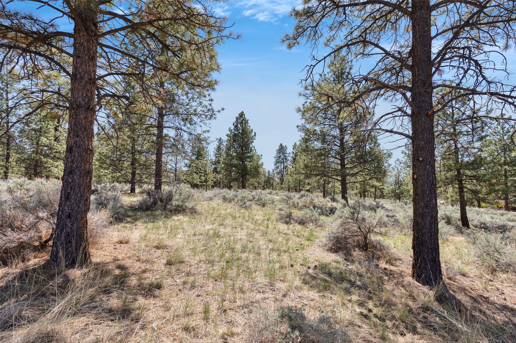 83 Mascot Trail Property Photo 30