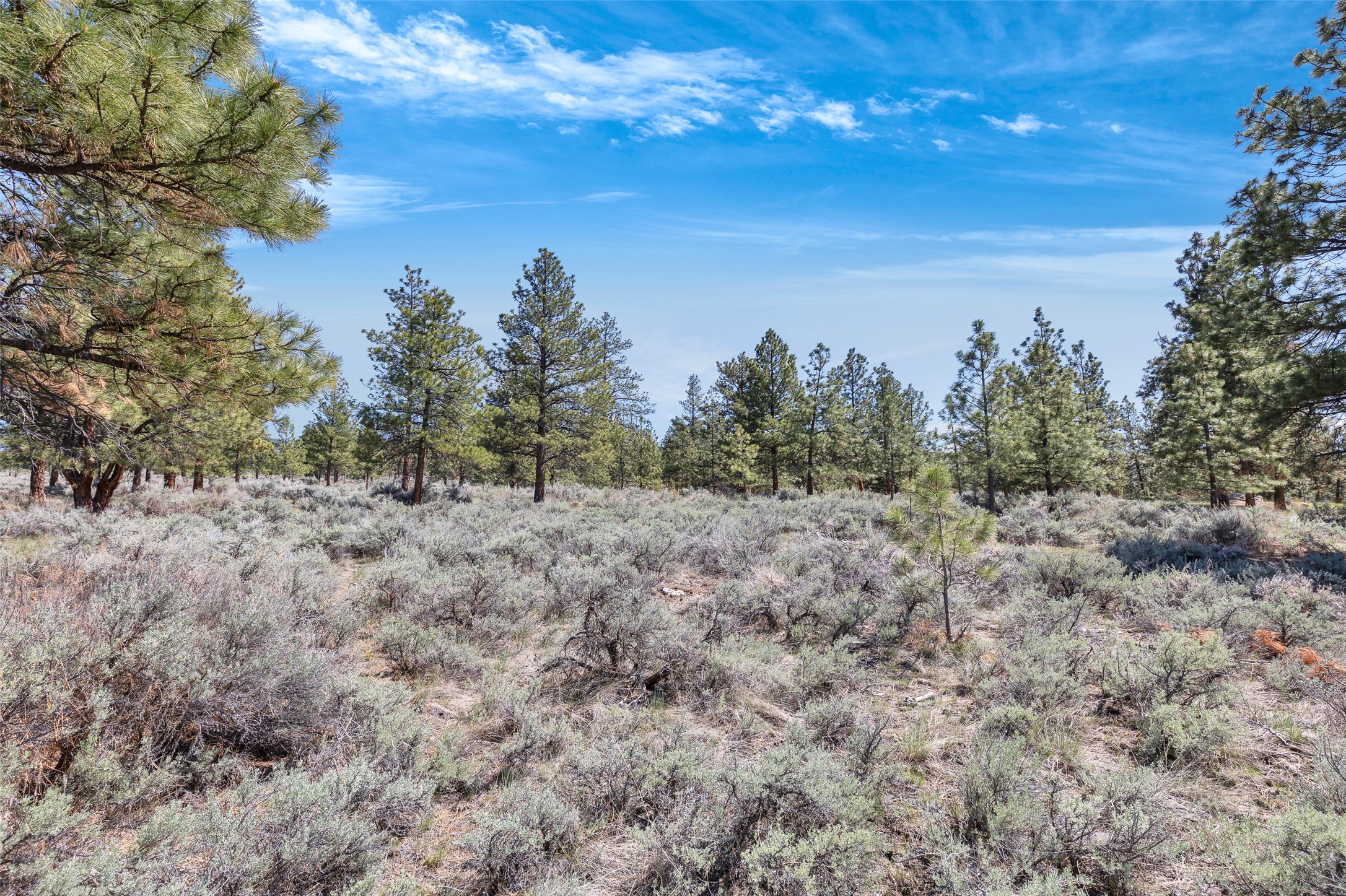 83 Mascot Trail Property Photo 31