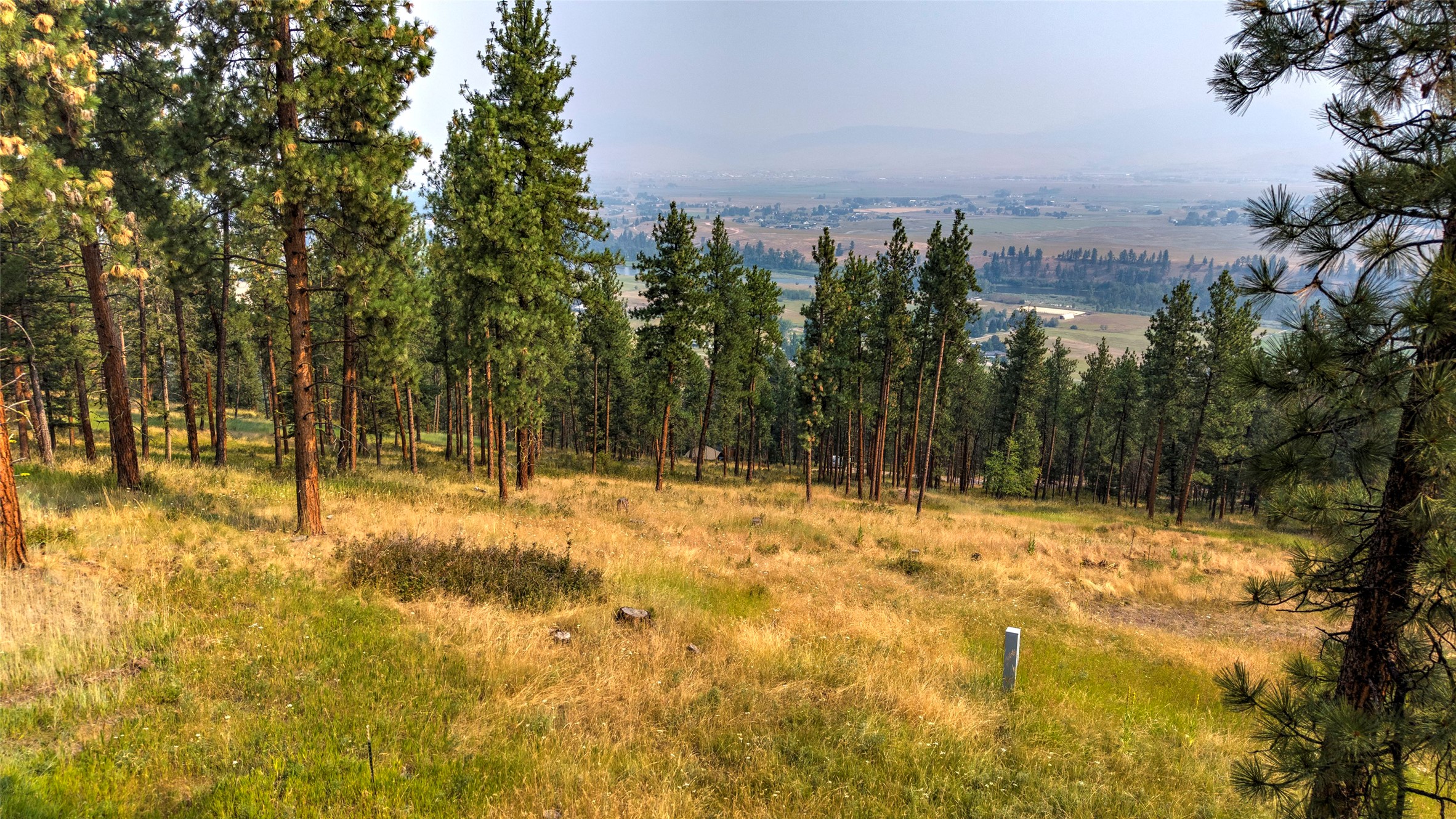 10570 Horseback Ridge Road Property Photo 6
