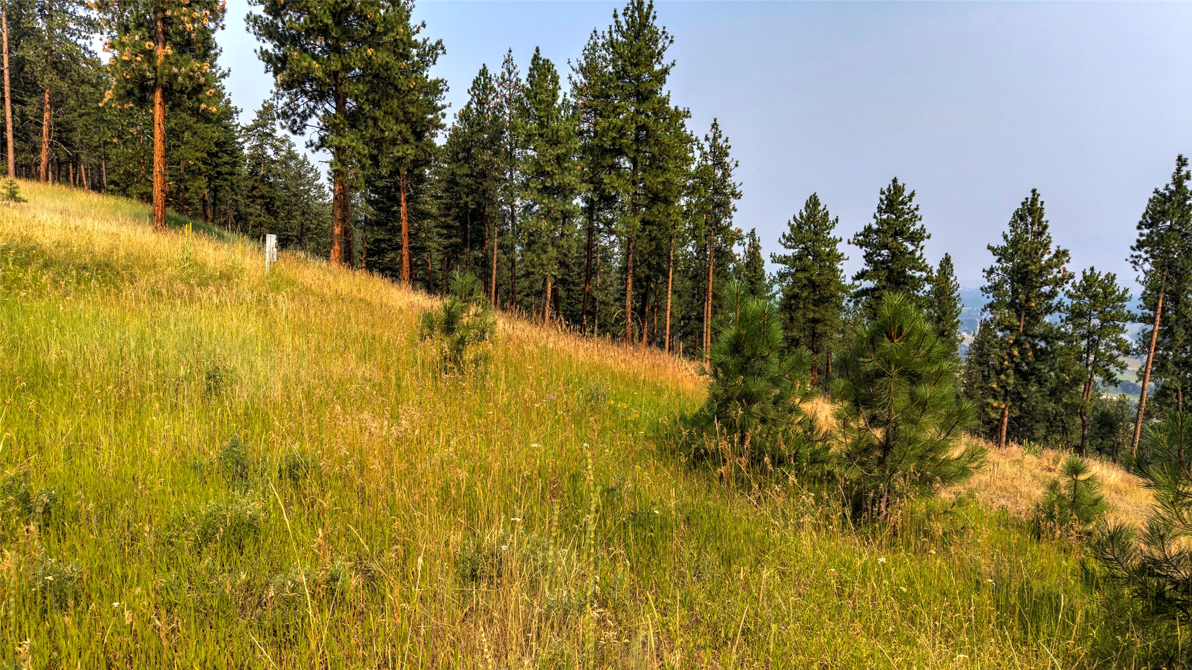 10570 Horseback Ridge Road Property Photo 15