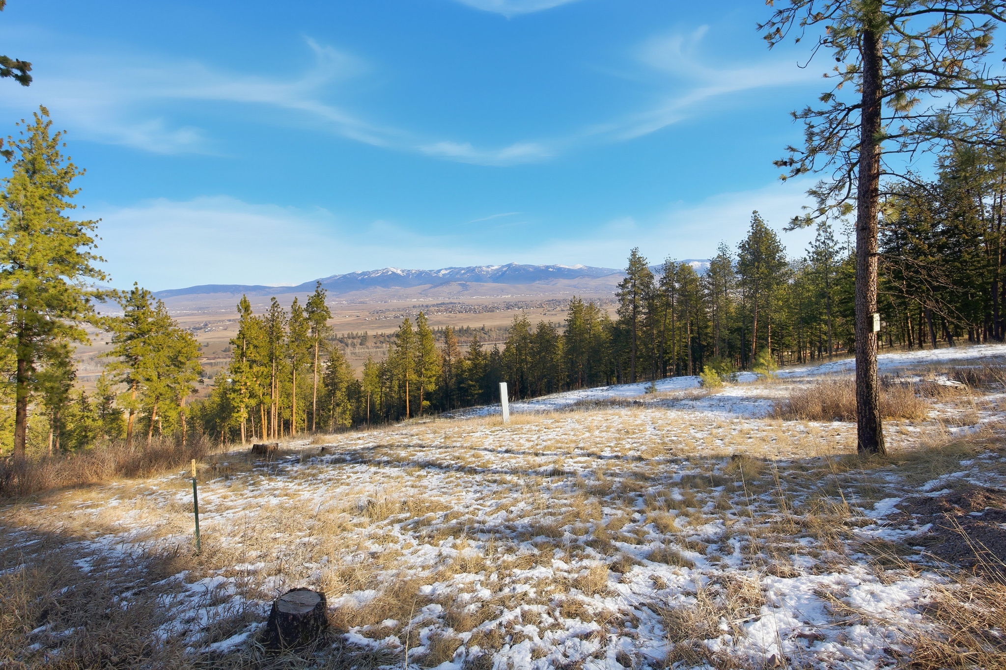10570 Horseback Ridge Road Property Photo 35