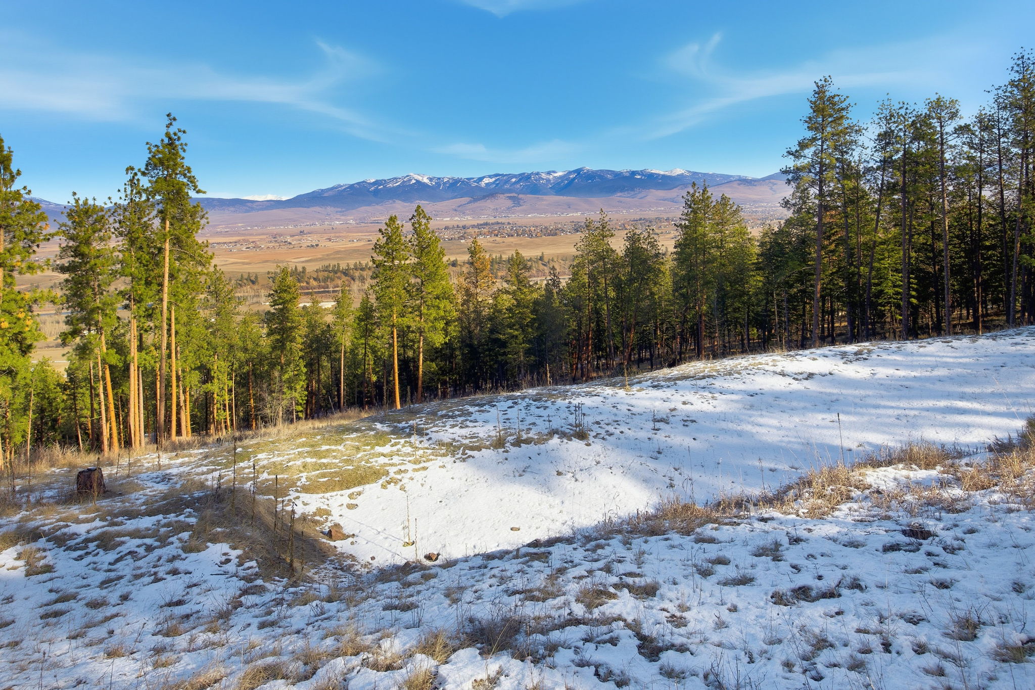 10570 Horseback Ridge Road Property Photo 38