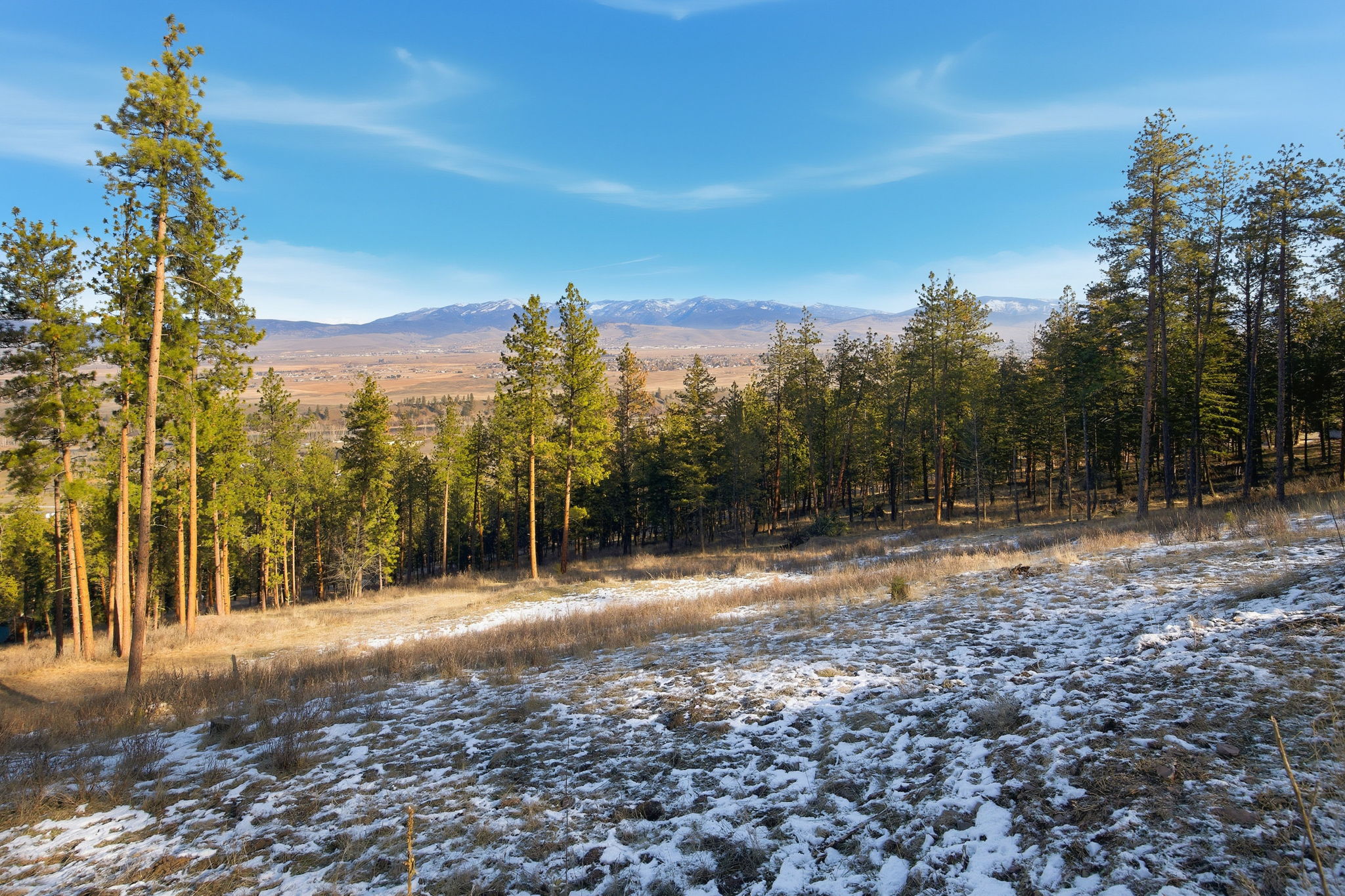 10570 Horseback Ridge Road Property Photo 39