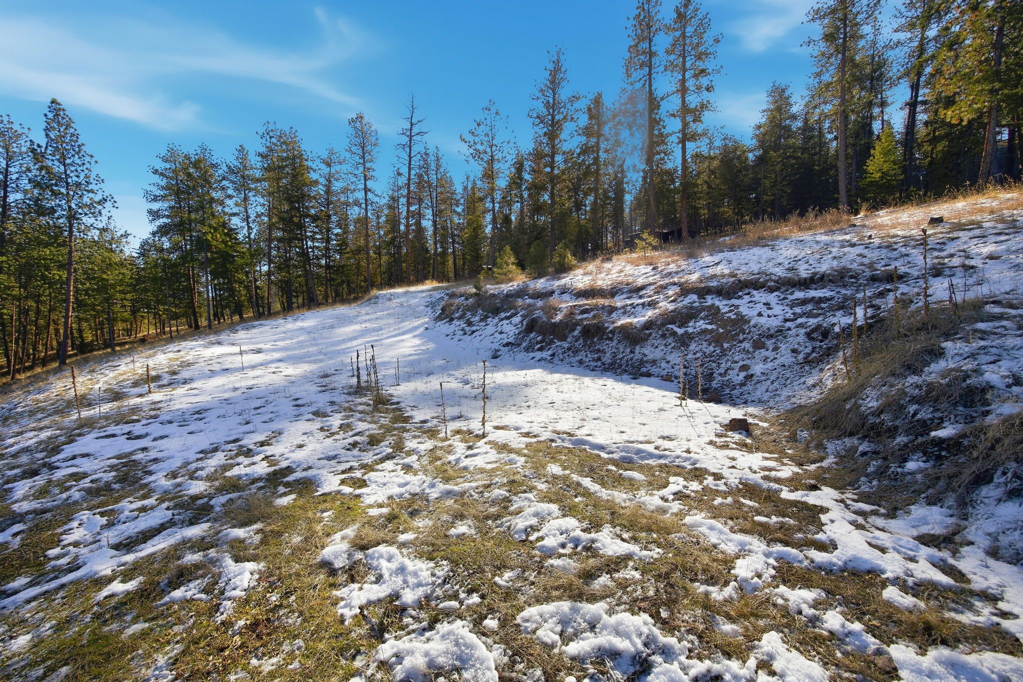 10570 Horseback Ridge Road Property Photo 41