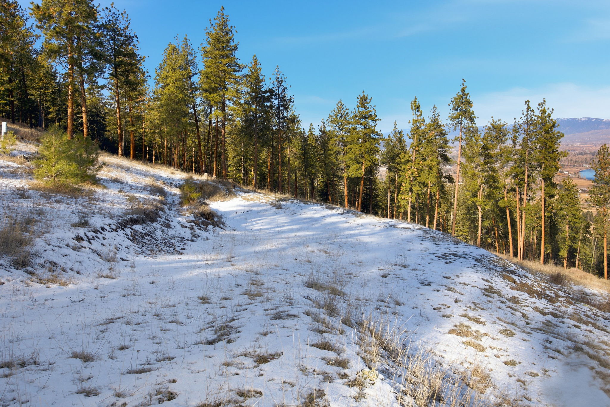 10570 Horseback Ridge Road Property Photo 42