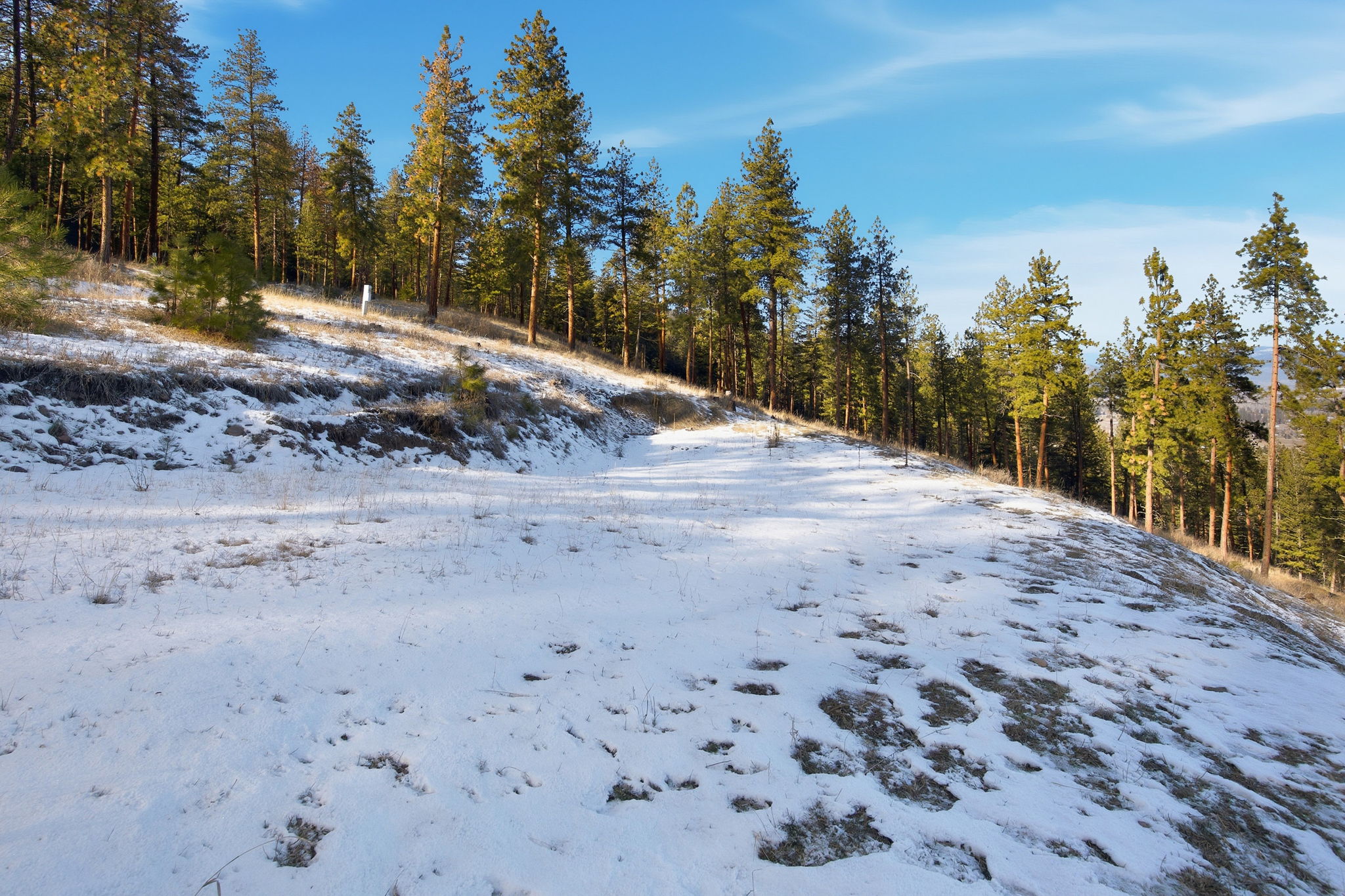 10570 Horseback Ridge Road Property Photo 43